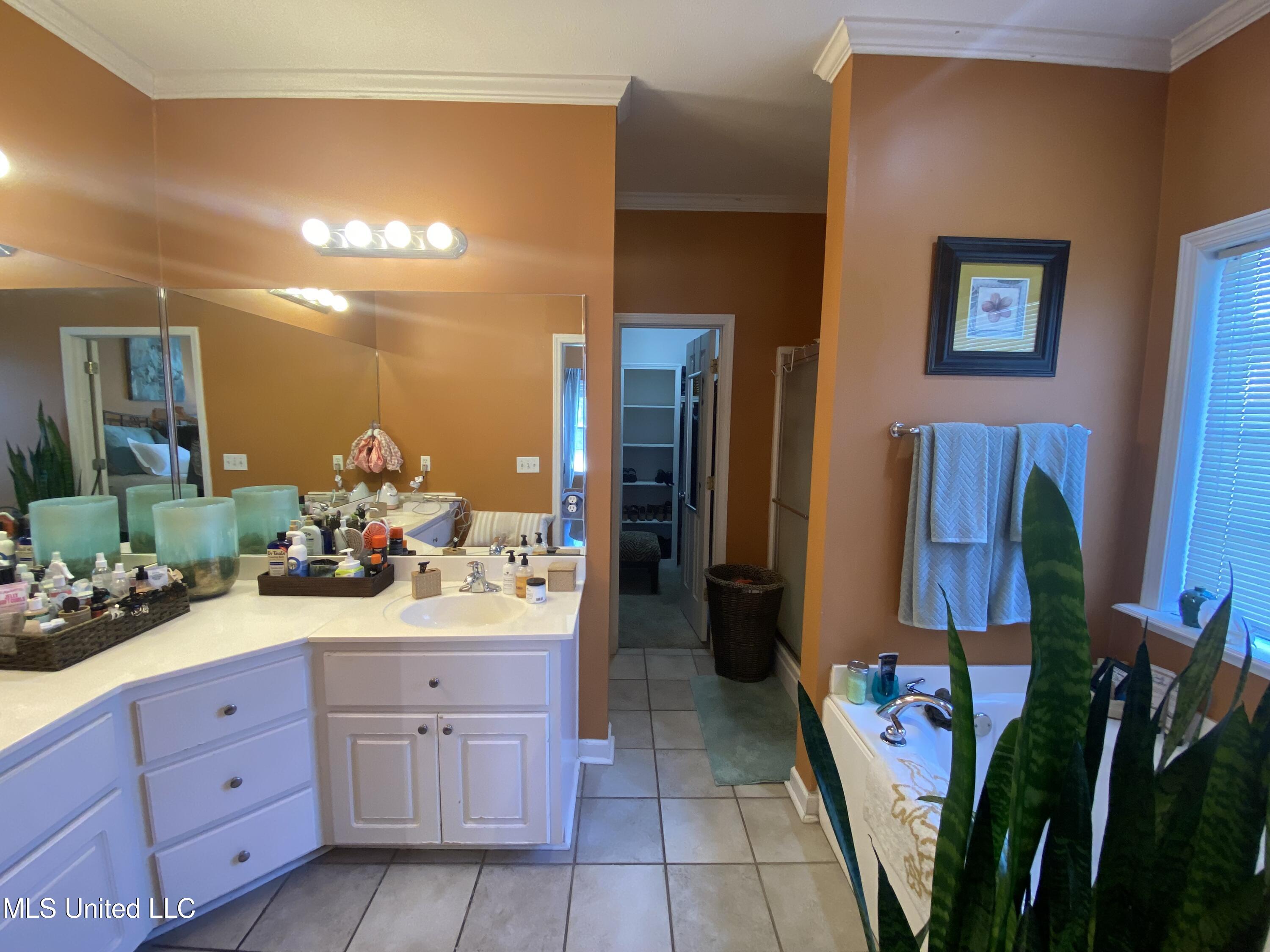 202 Mallard Drive, Brandon, Mississippi image 20
