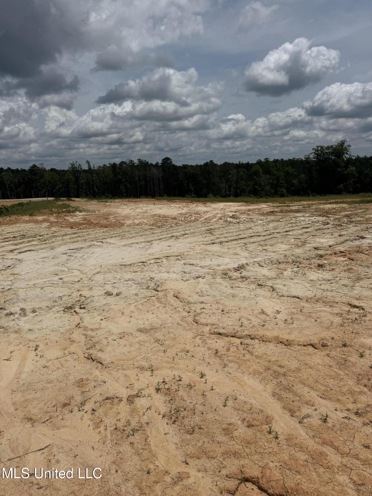 Wire Road, Pelahatchie, Mississippi image 2