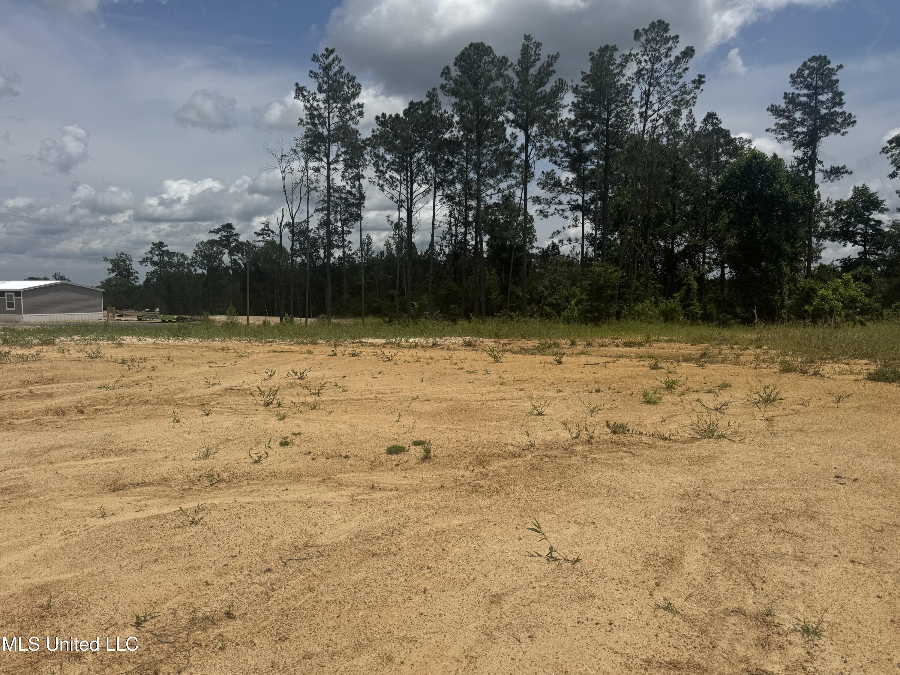 Wire Road, Pelahatchie, Mississippi image 3