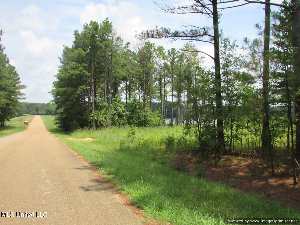 Lakeshire Parkway, Canton, Mississippi image 2