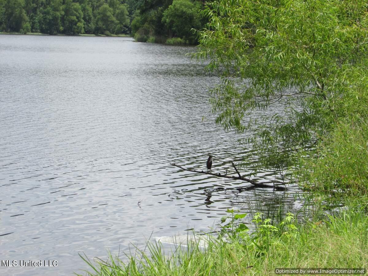 Lakeshire Parkway, Canton, Mississippi image 13