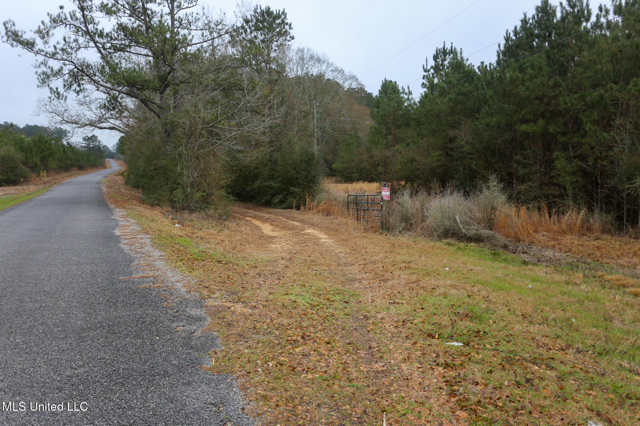 D A Dyess Road, Carson, Mississippi image 1