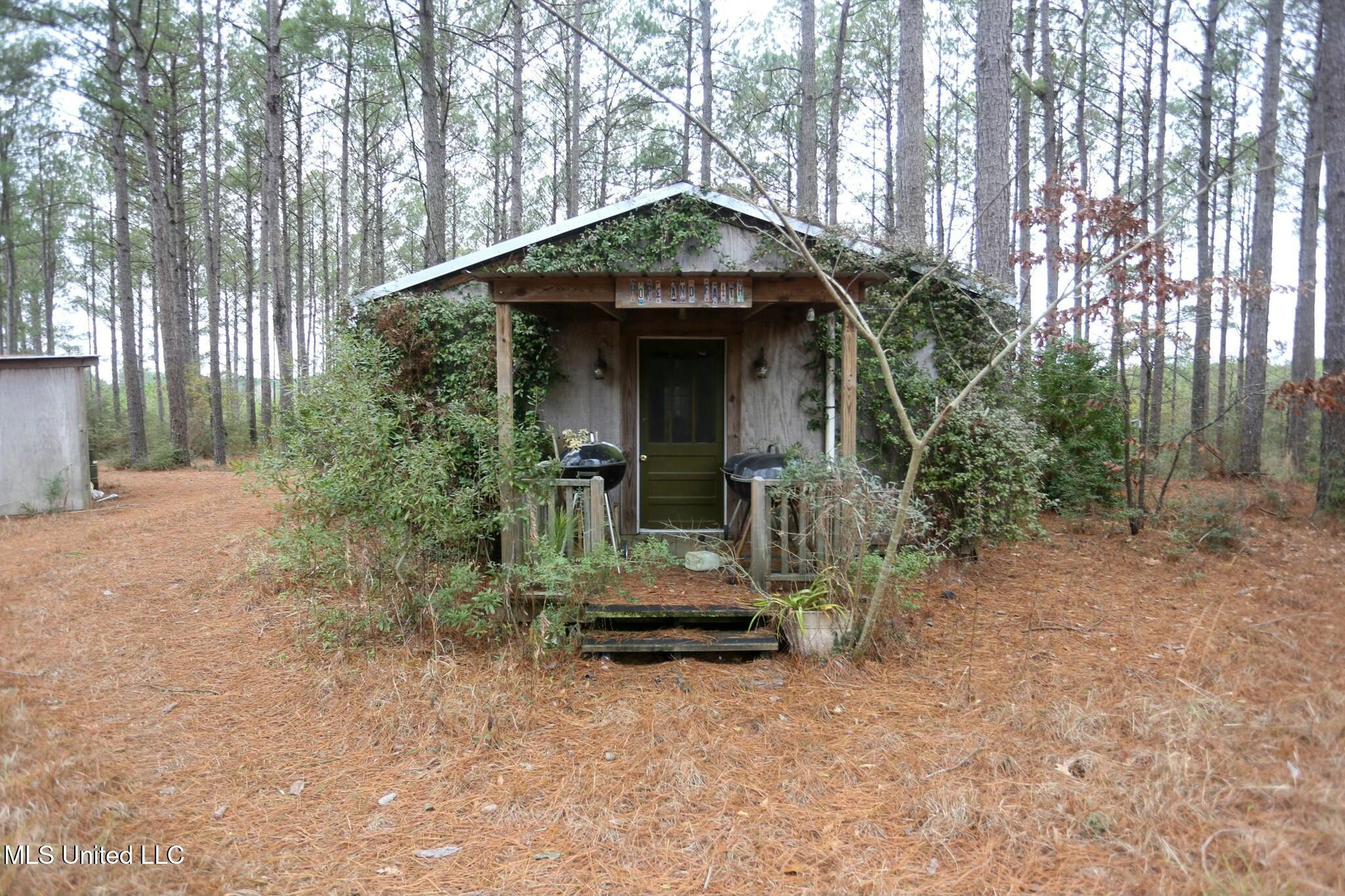 D A Dyess Road, Carson, Mississippi image 6