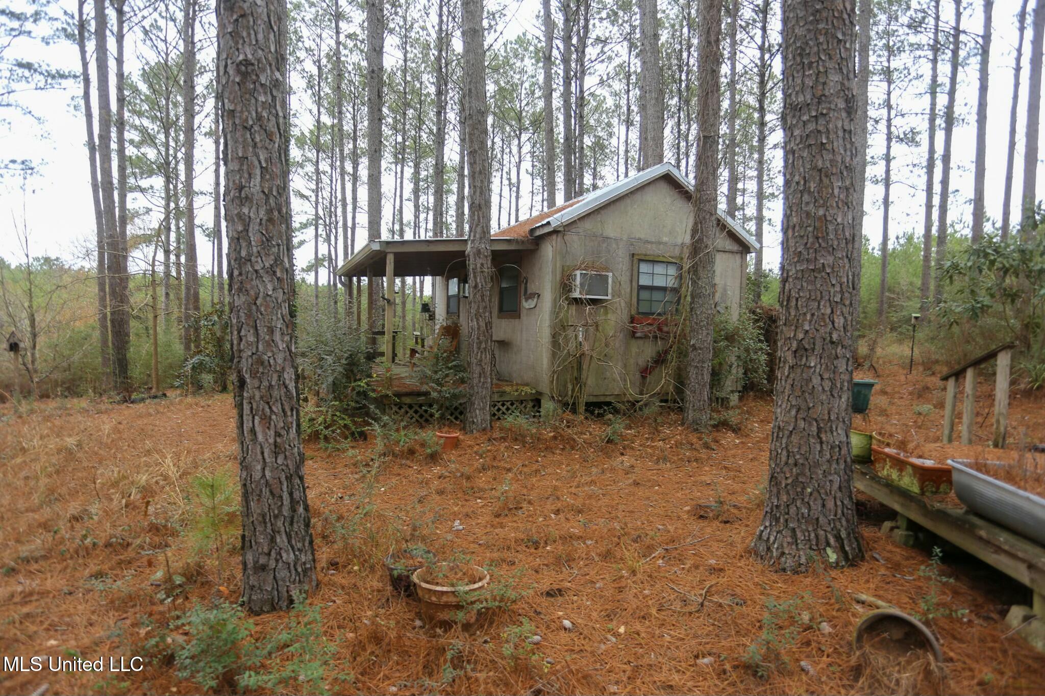 D A Dyess Road, Carson, Mississippi image 9