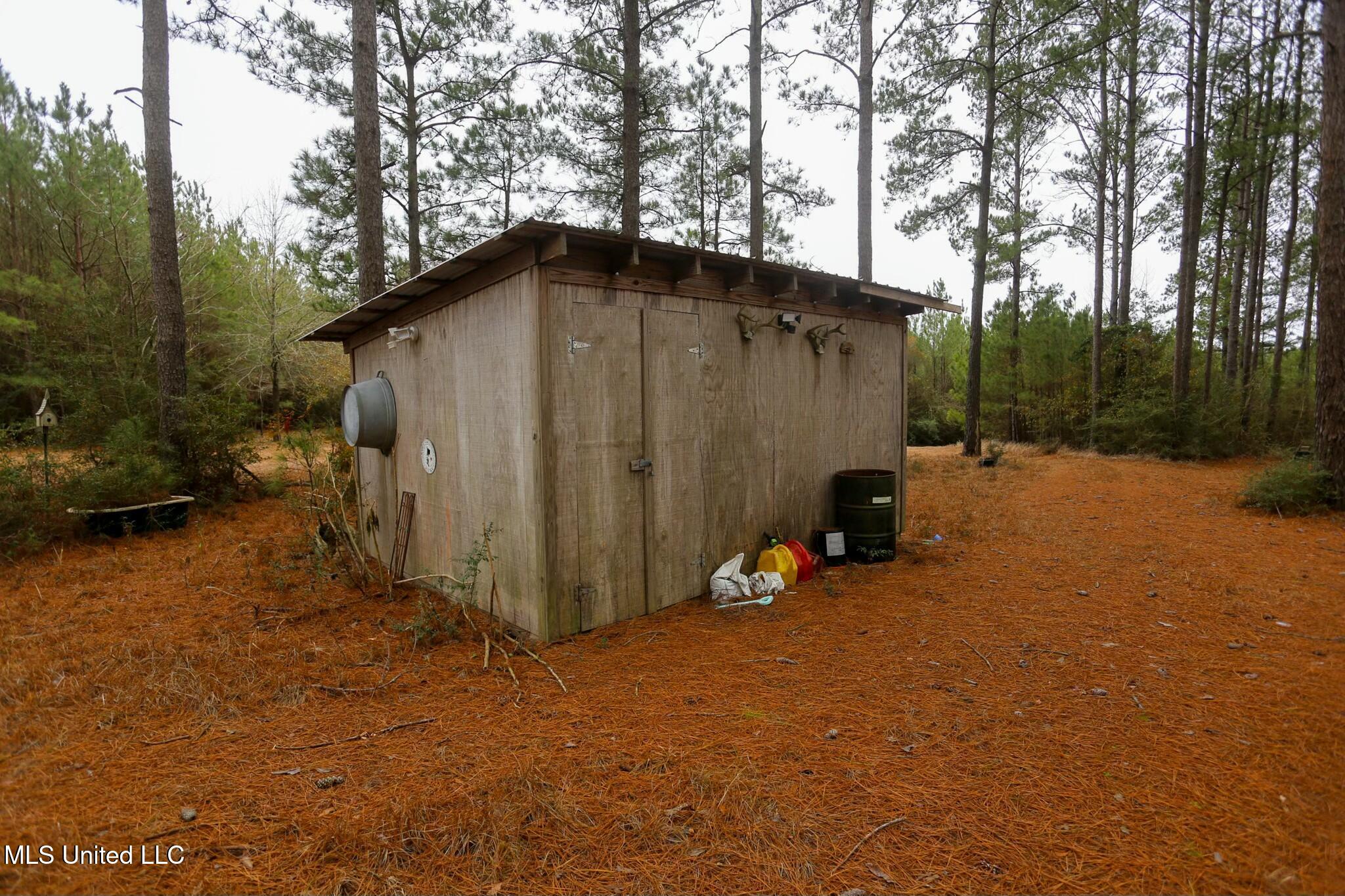 D A Dyess Road, Carson, Mississippi image 8