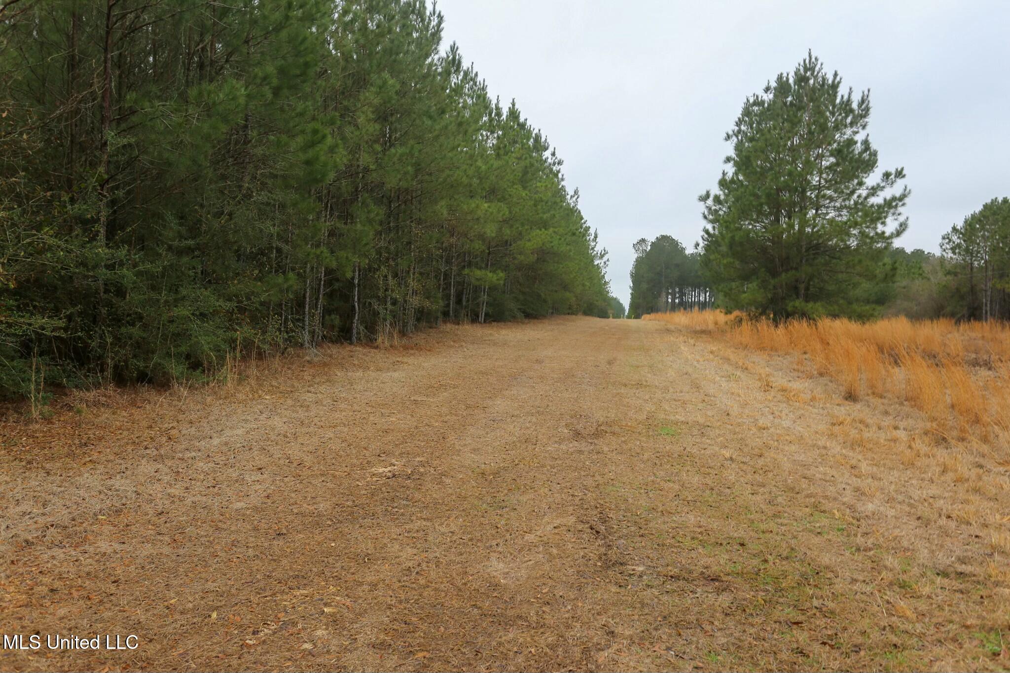 D A Dyess Road, Carson, Mississippi image 3