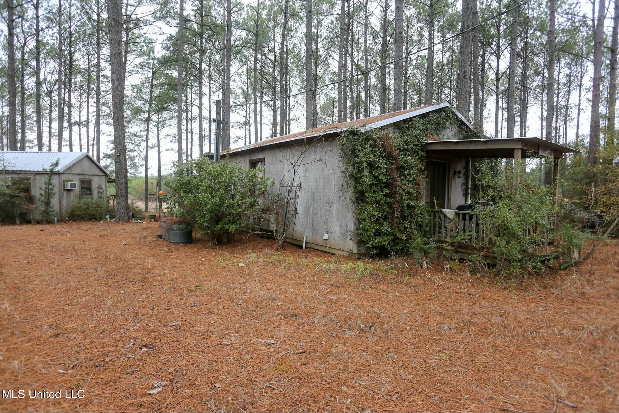 D A Dyess Road, Carson, Mississippi image 7