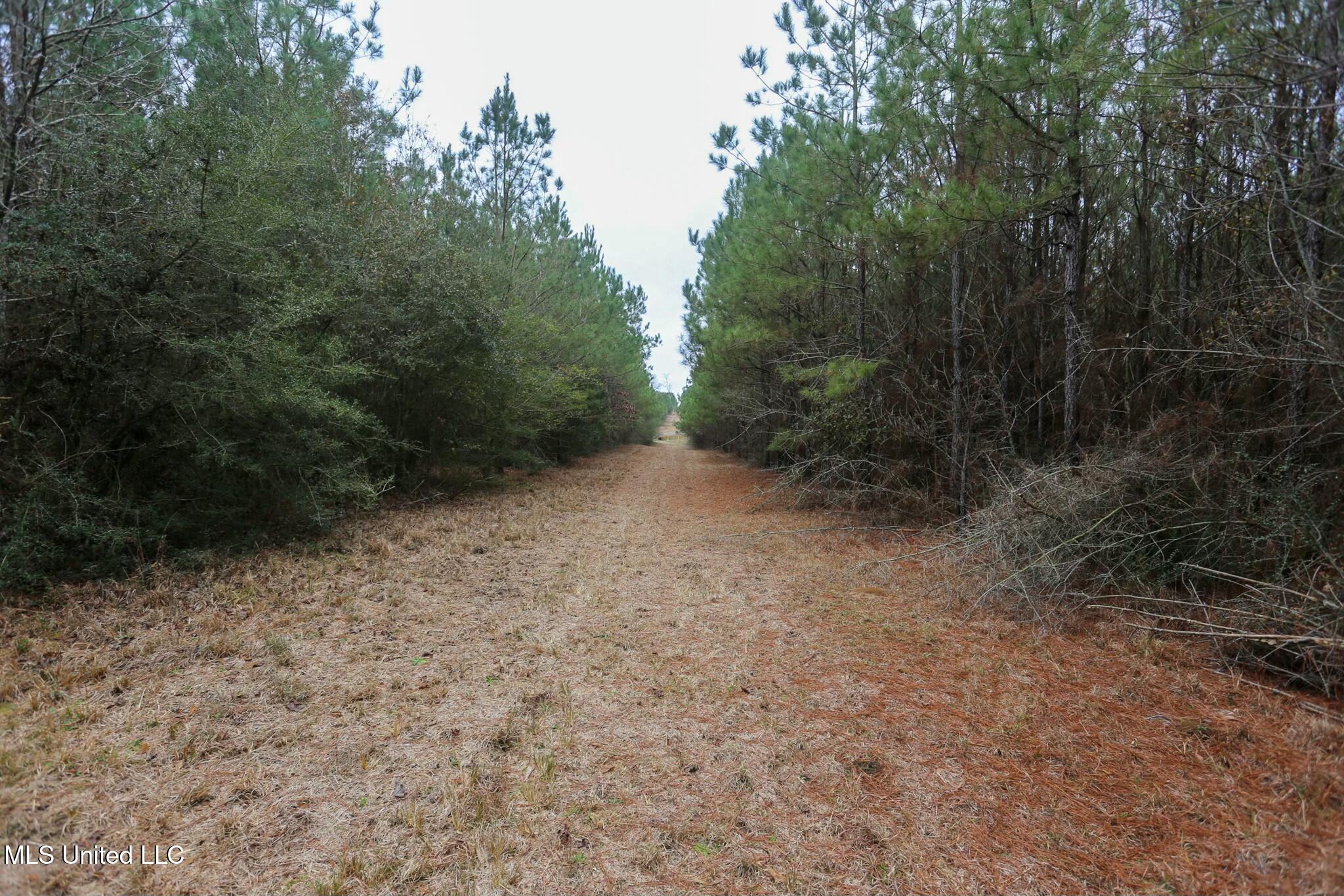 D A Dyess Road, Carson, Mississippi image 44