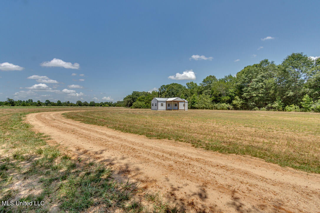 3219 Davis Road, Benton, Mississippi image 17