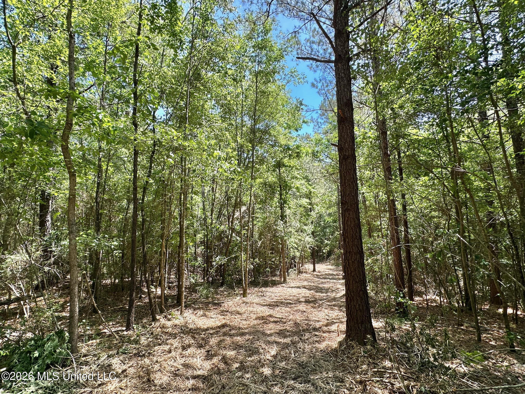1 Mcnair Springs Road