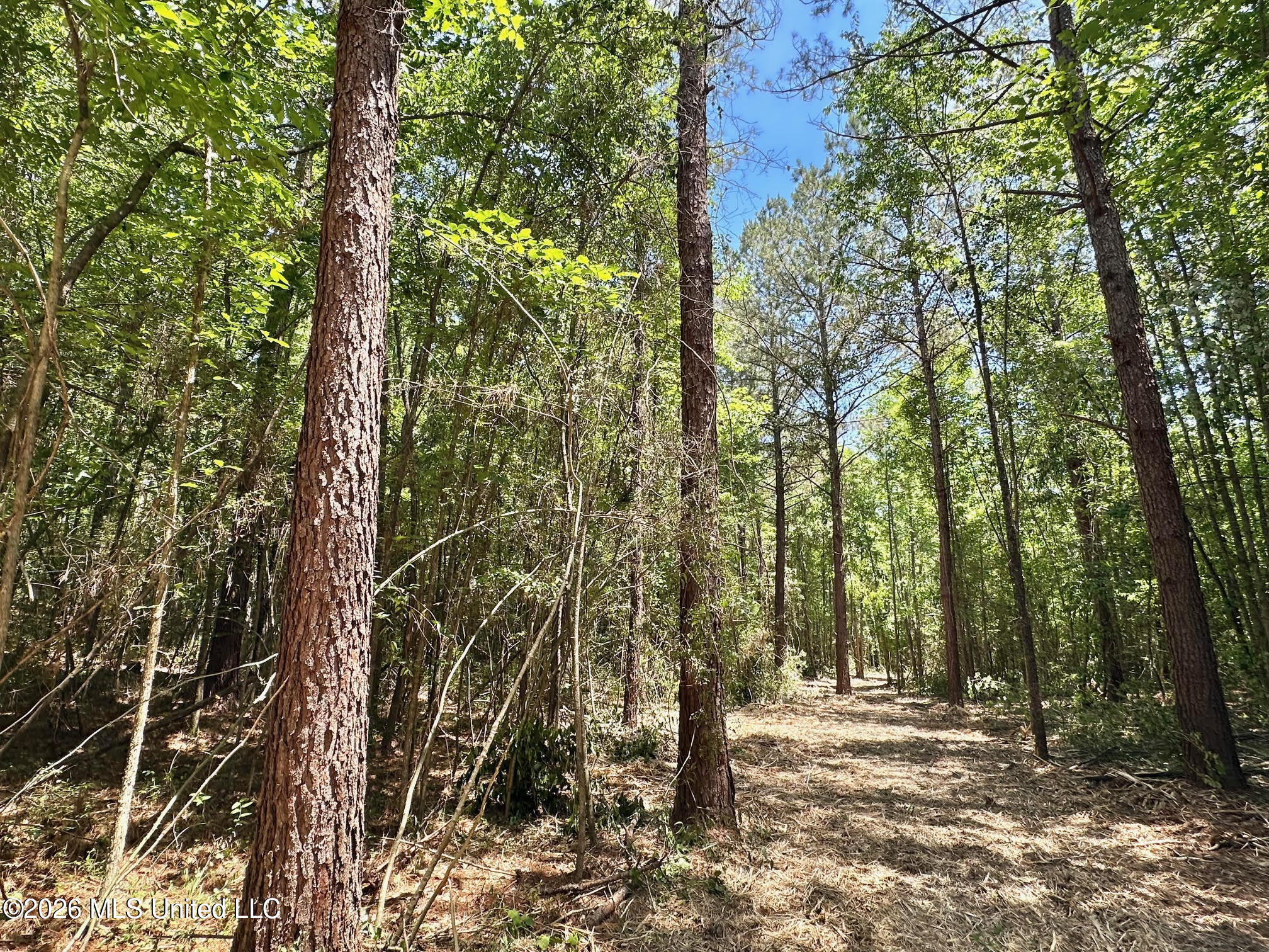 1 Mcnair Springs Road