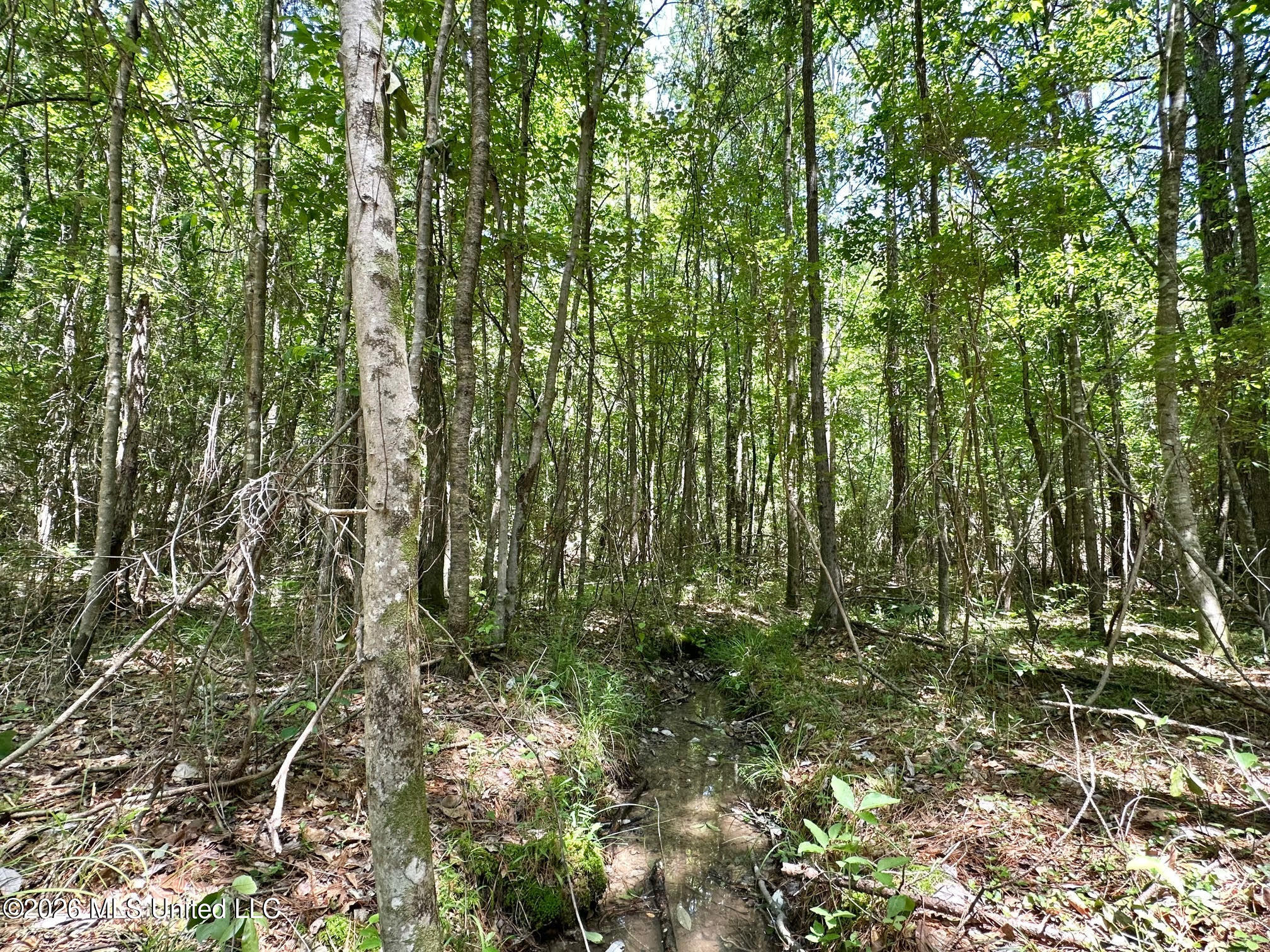 1 Mcnair Springs Road