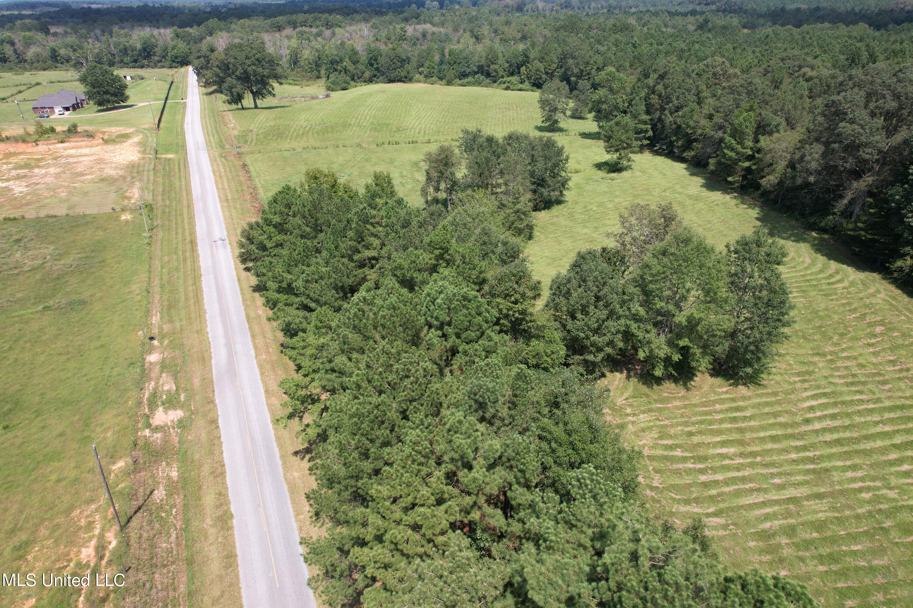 Lawrence Conehatta Road, Lawrence, Mississippi image 1