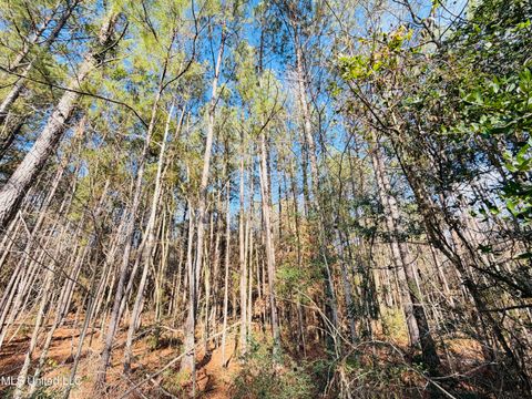 Vacant Land For Sale - Mallard Trail<br/> Summit, MS 39666