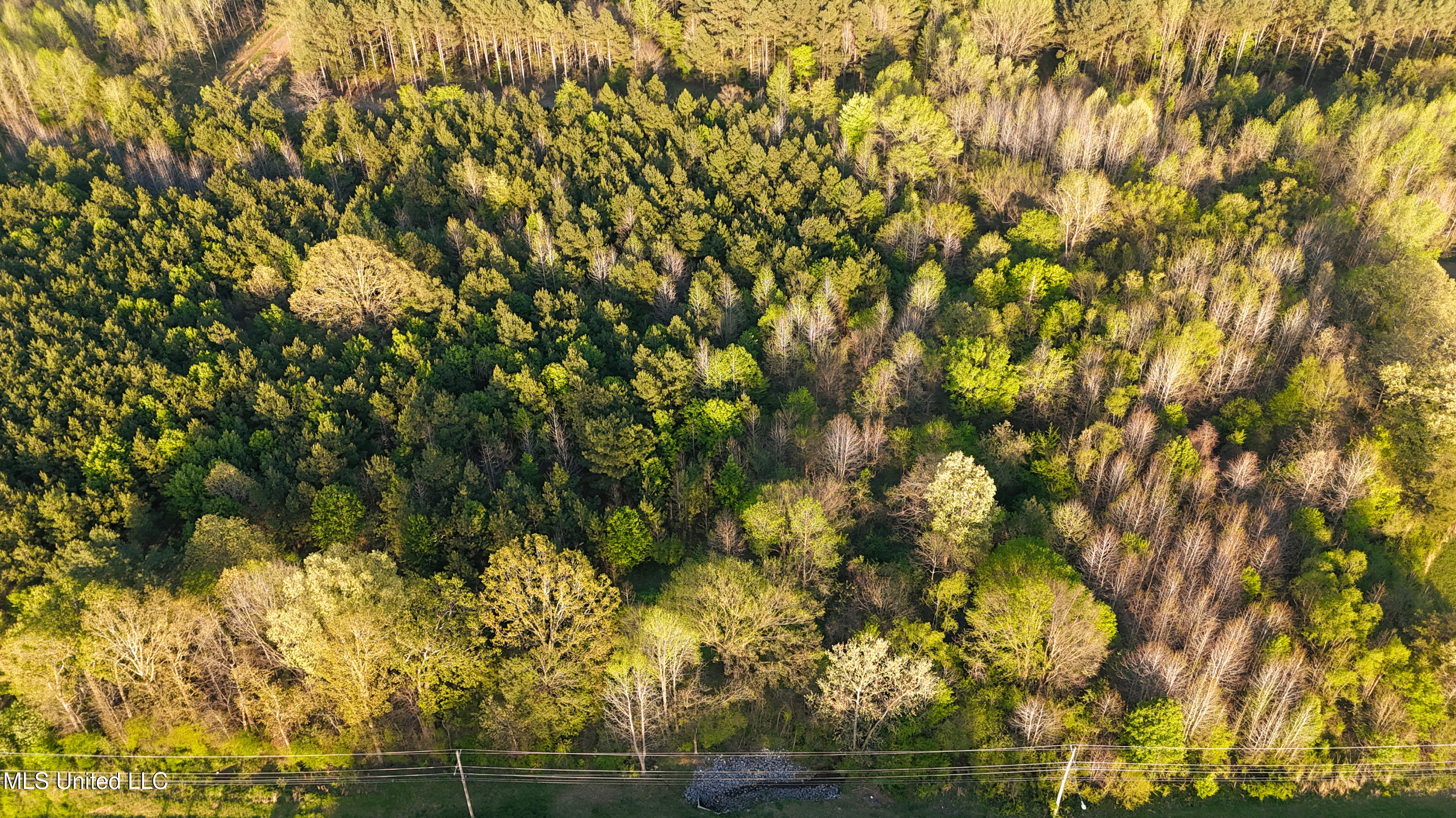Getwell Road, Southaven, Mississippi image 4