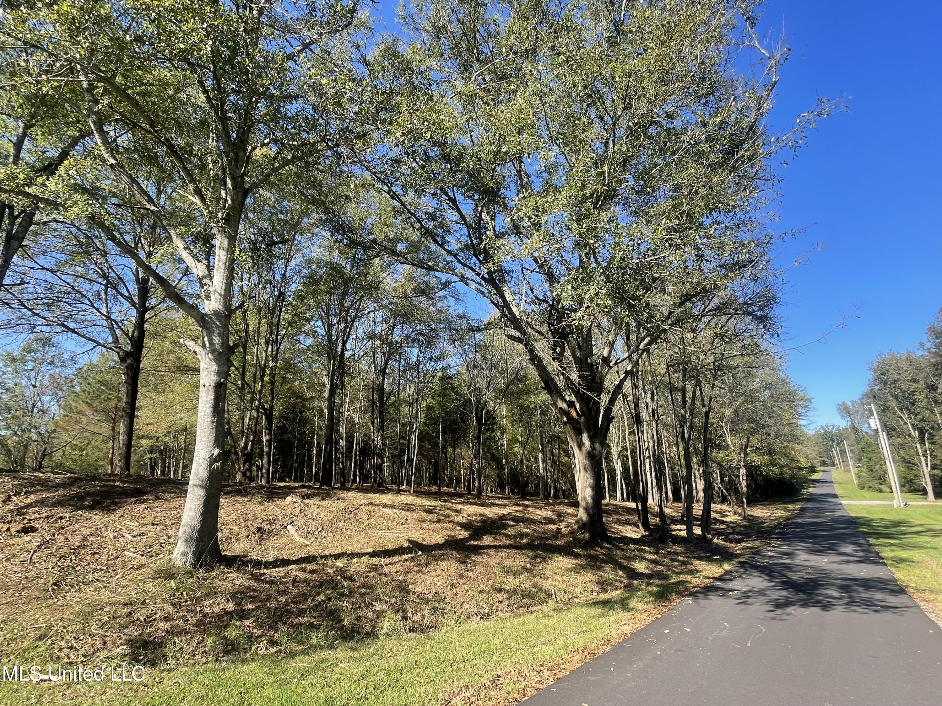 Lep Childress Rd, Flora, Mississippi image 1