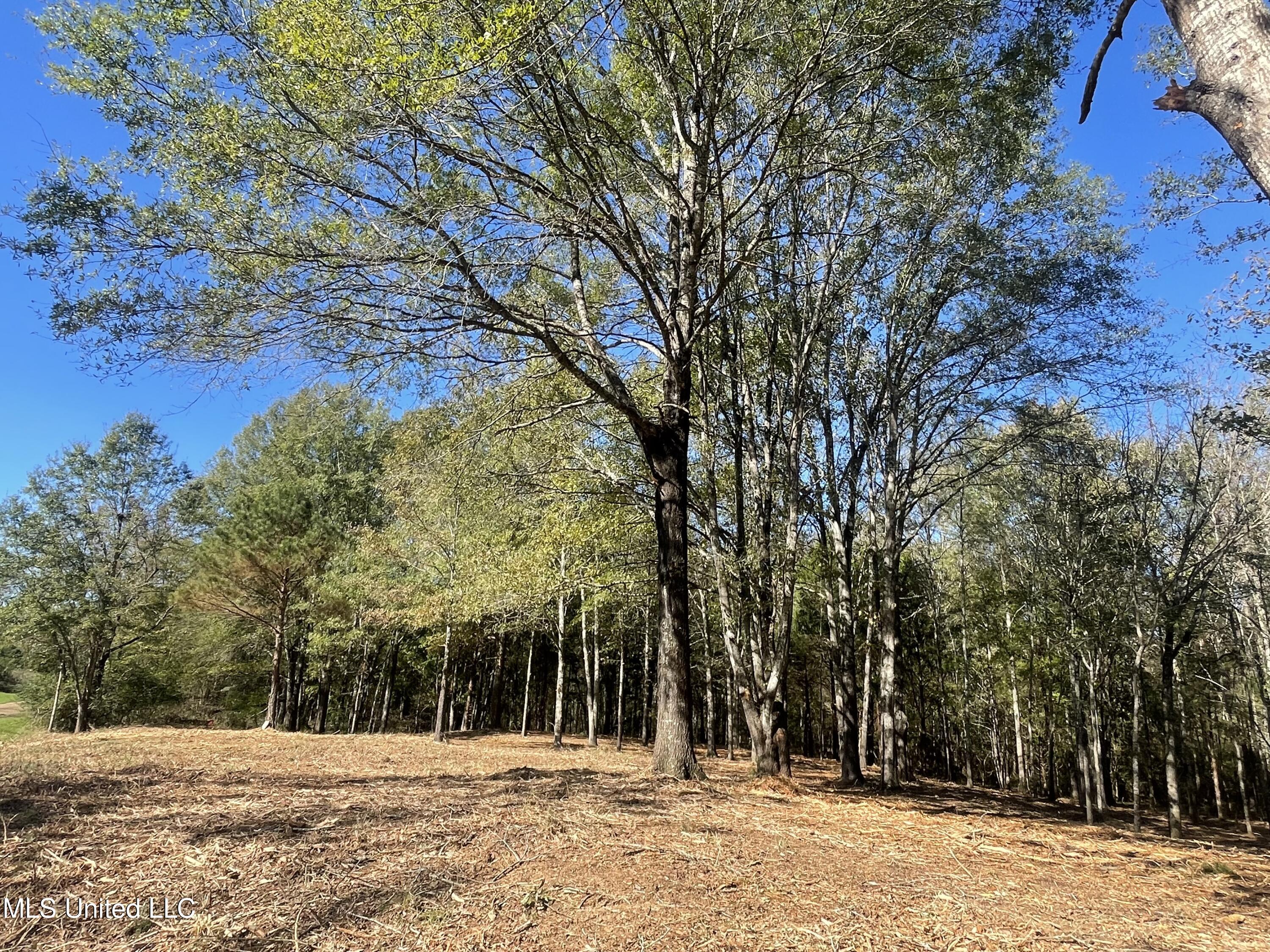 Lep Childress Rd, Flora, Mississippi image 3