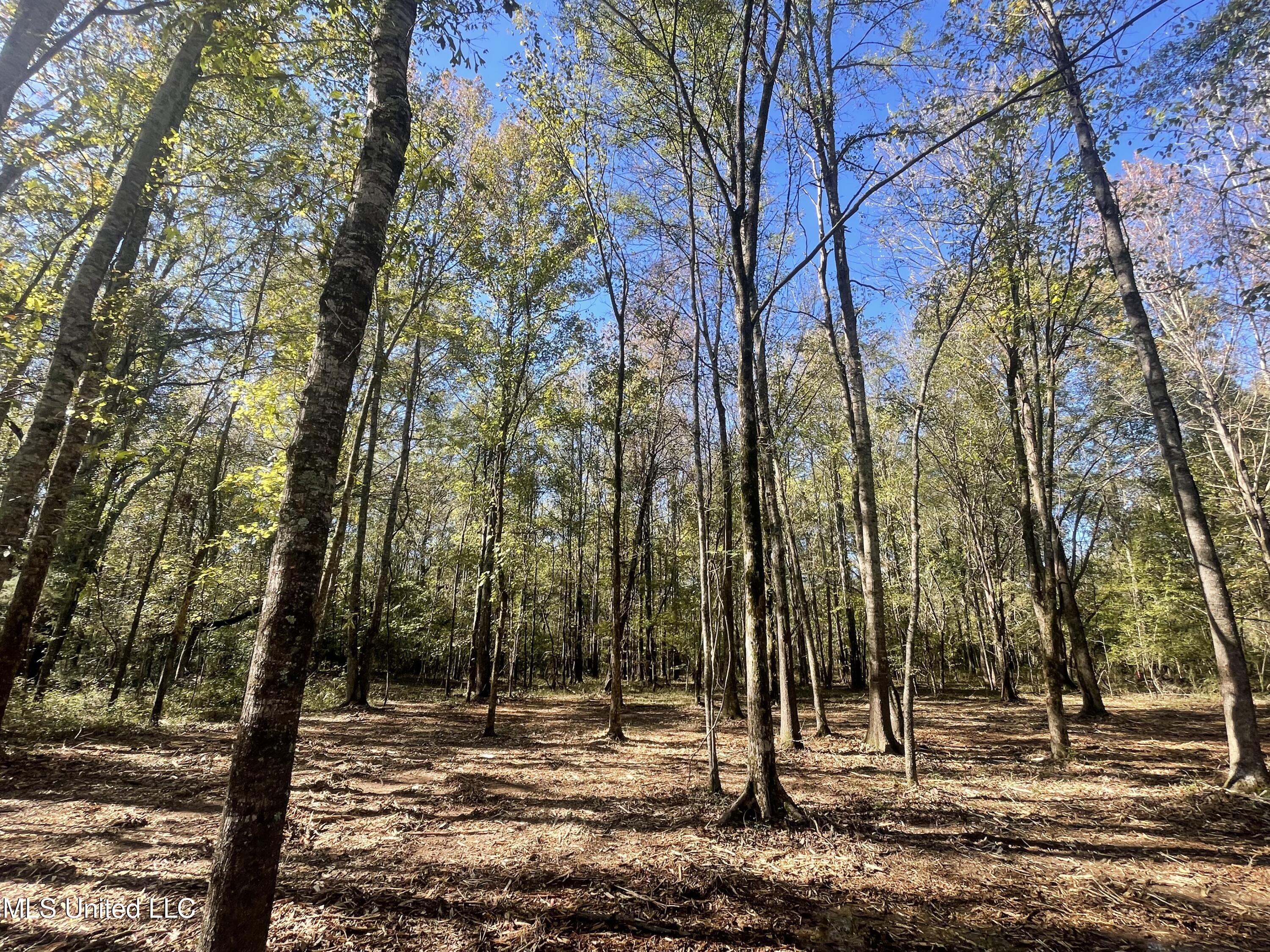 Lep Childress Rd, Flora, Mississippi image 8