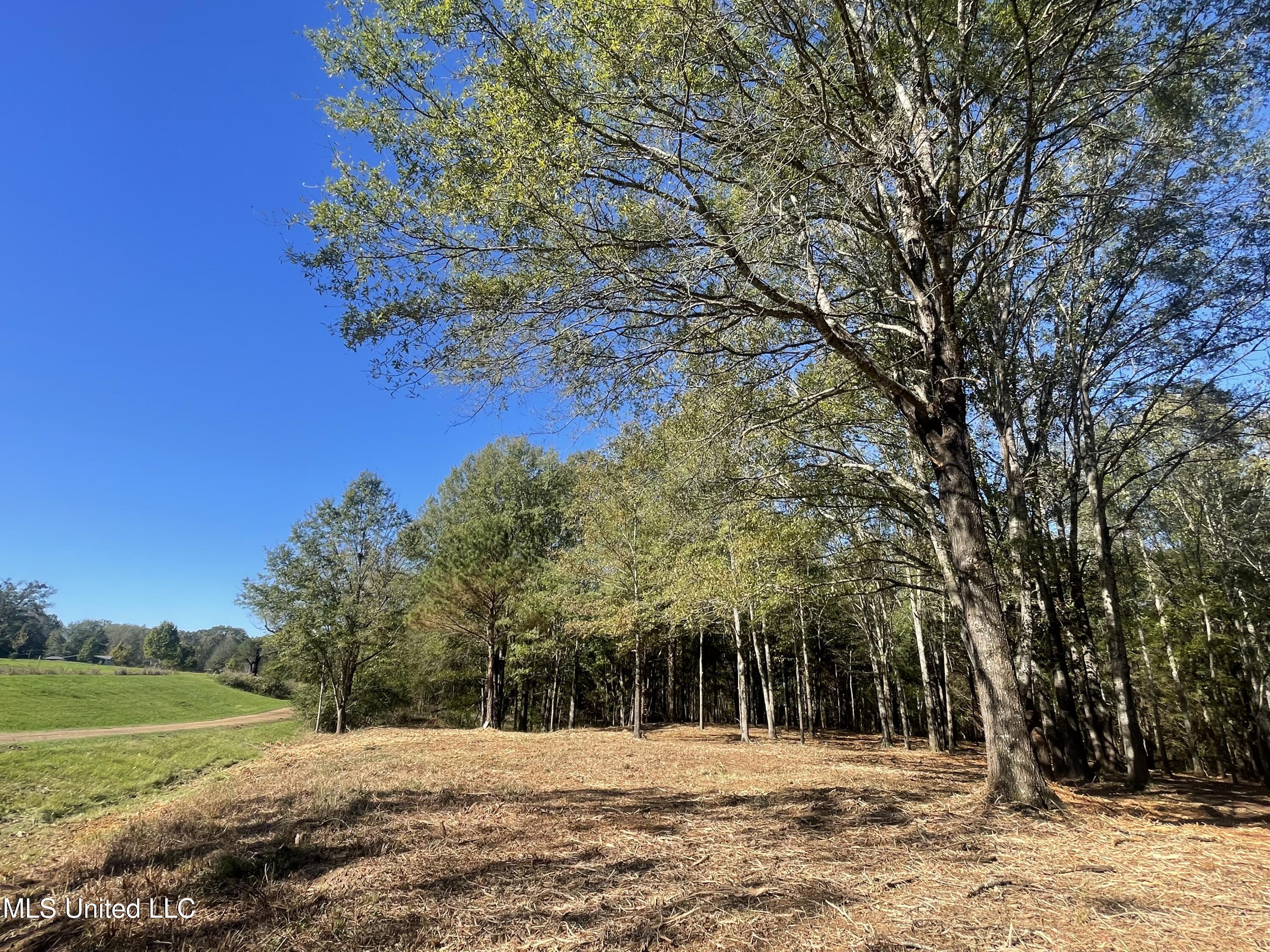 Lep Childress Rd, Flora, Mississippi image 2