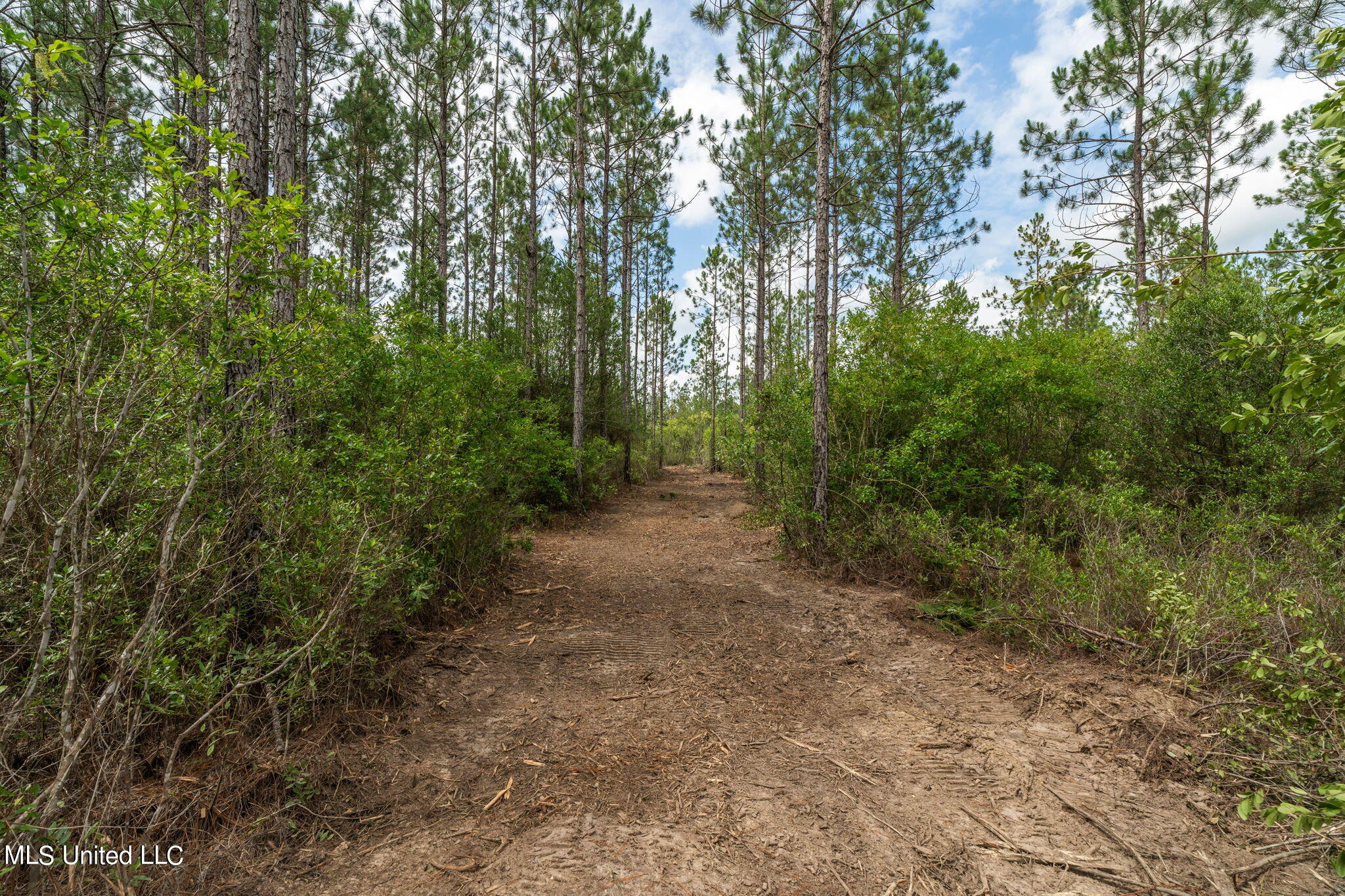 Herman Ladner Road, Saucier, Mississippi image 8