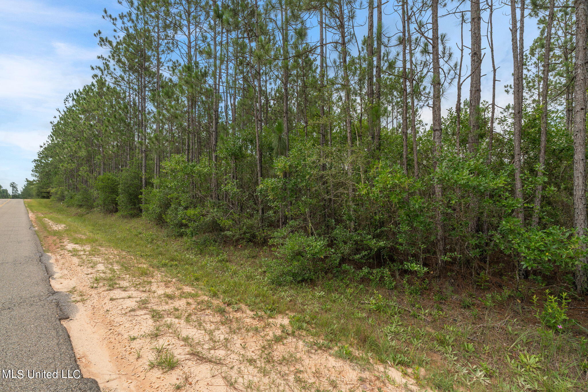 Herman Ladner Road, Saucier, Mississippi image 6