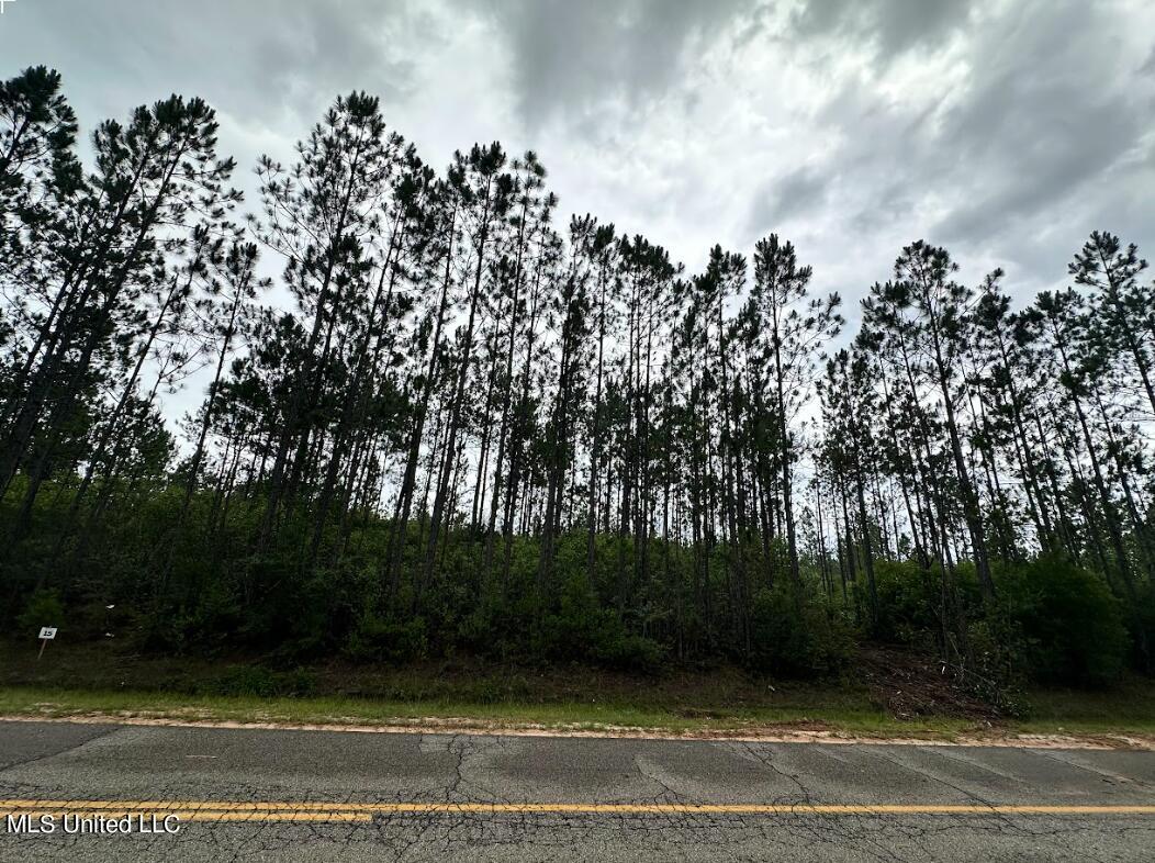 Herman Ladner Road, Saucier, Mississippi image 3