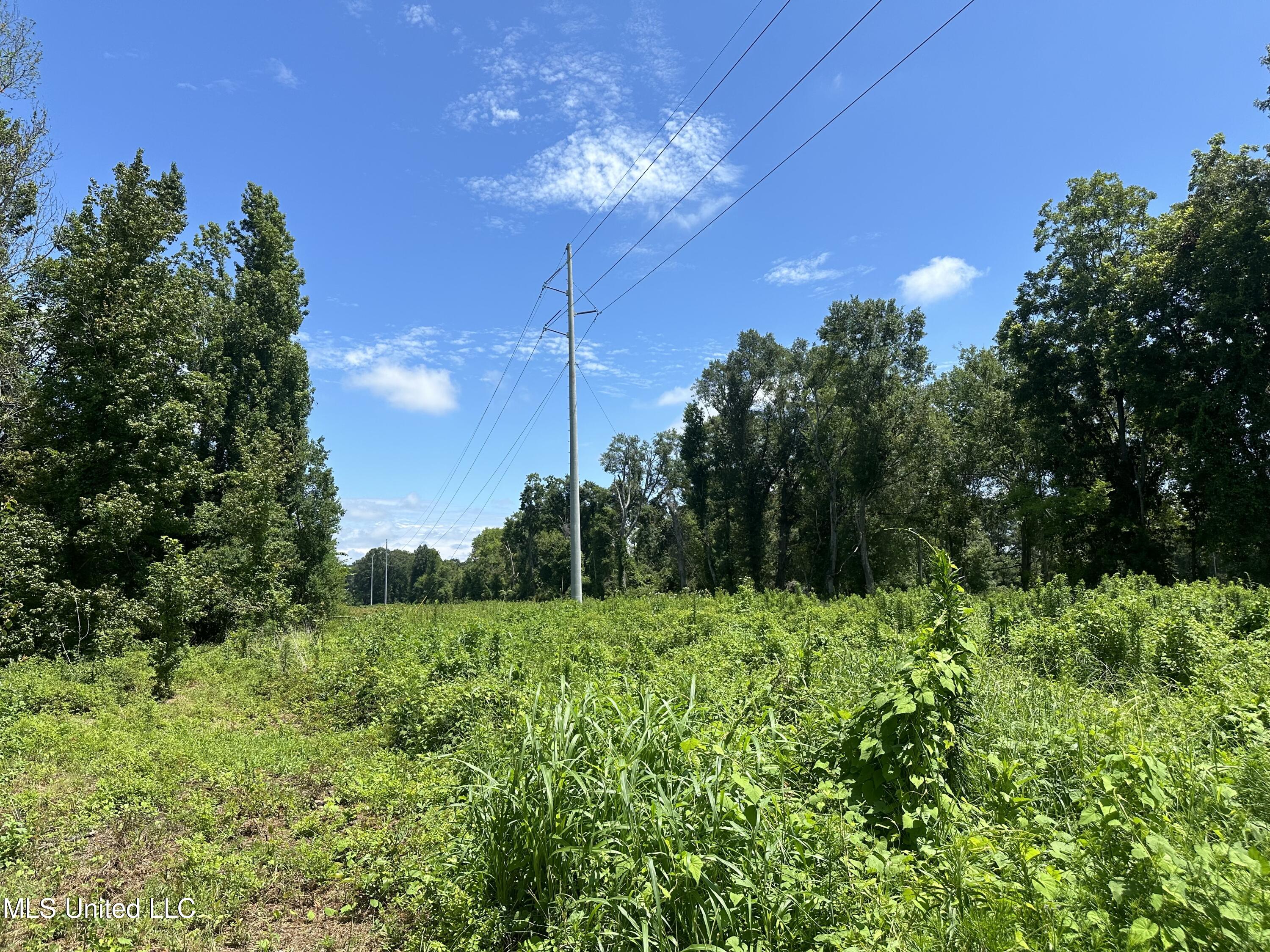 Nsn Hwy 198 E, Lucedale, Mississippi image 9