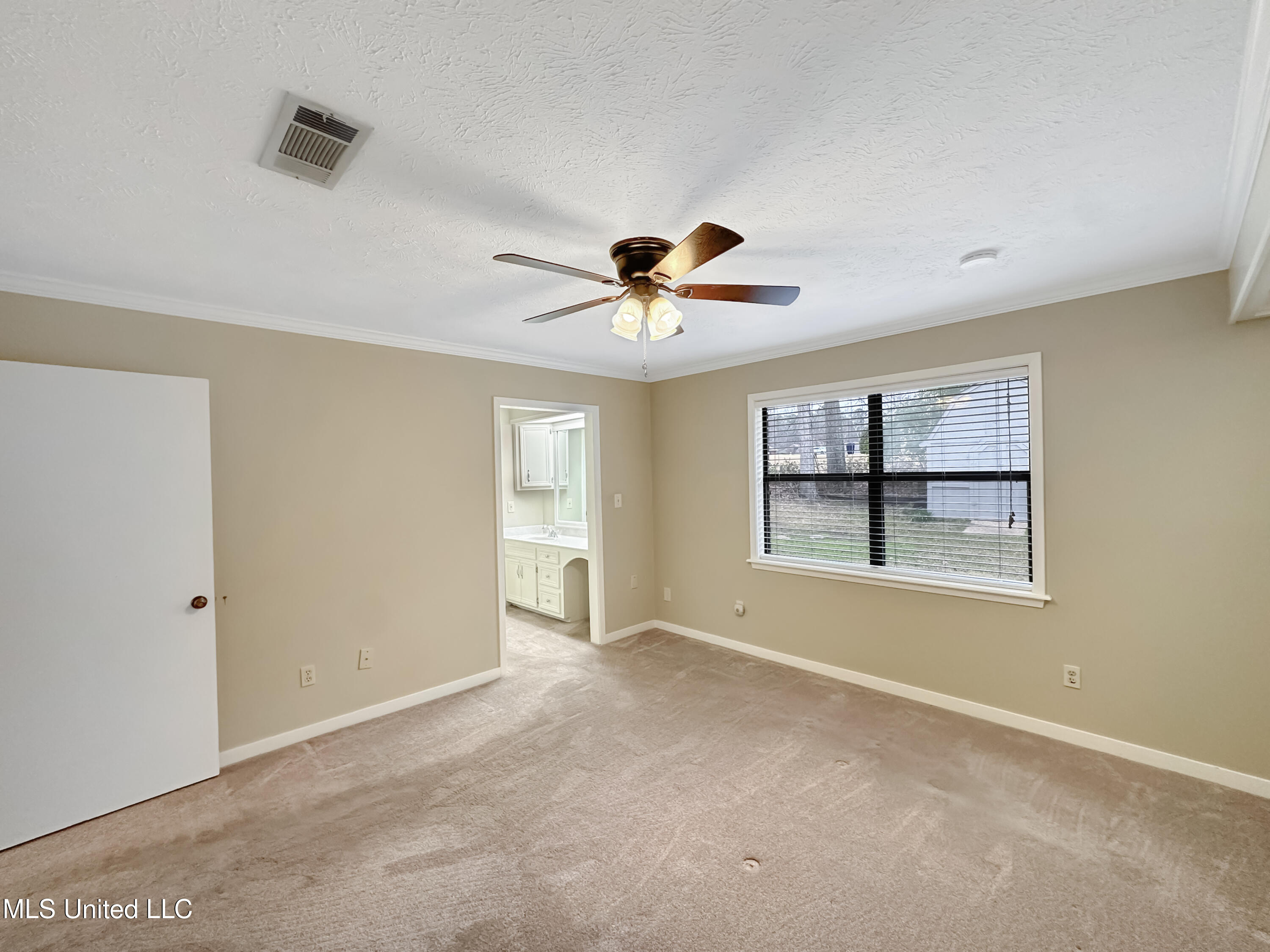 146 Richmond Drive, Brandon, Mississippi image 17