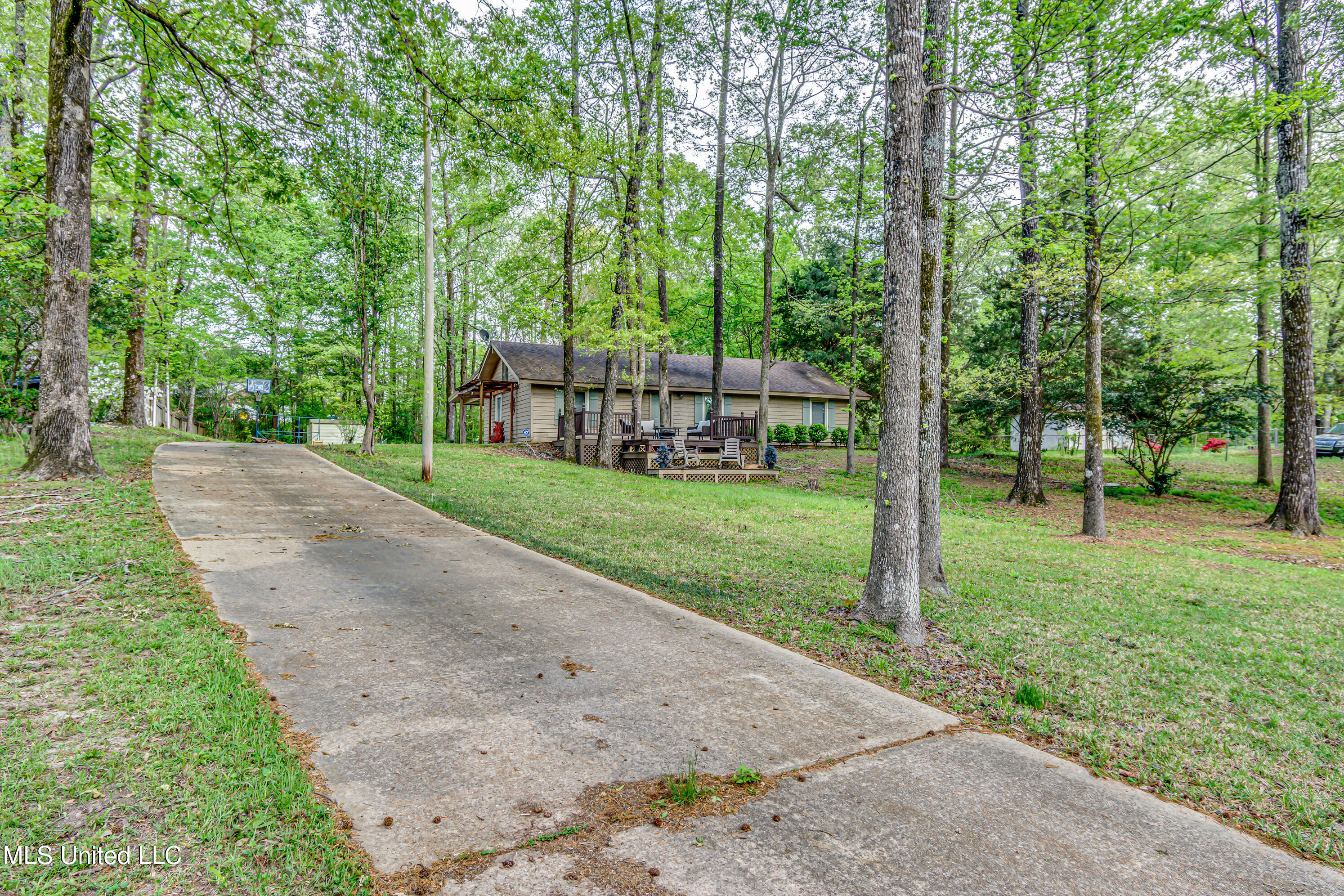 176 Zelma Lane, Florence, Mississippi image 7