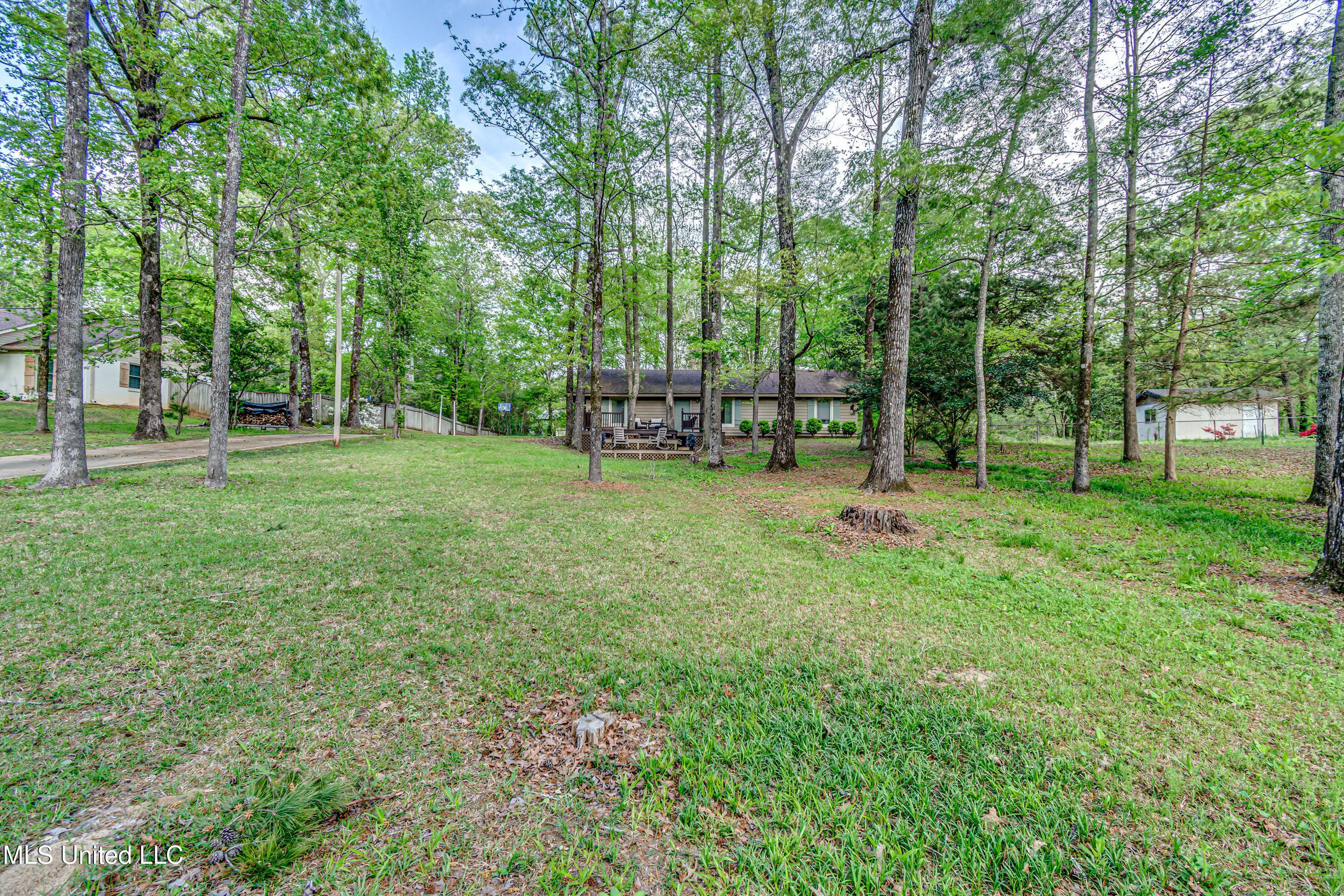 176 Zelma Lane, Florence, Mississippi image 22