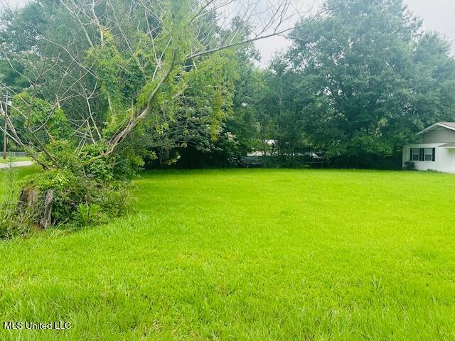 1561 Section Line Road, Picayune, Mississippi image 31