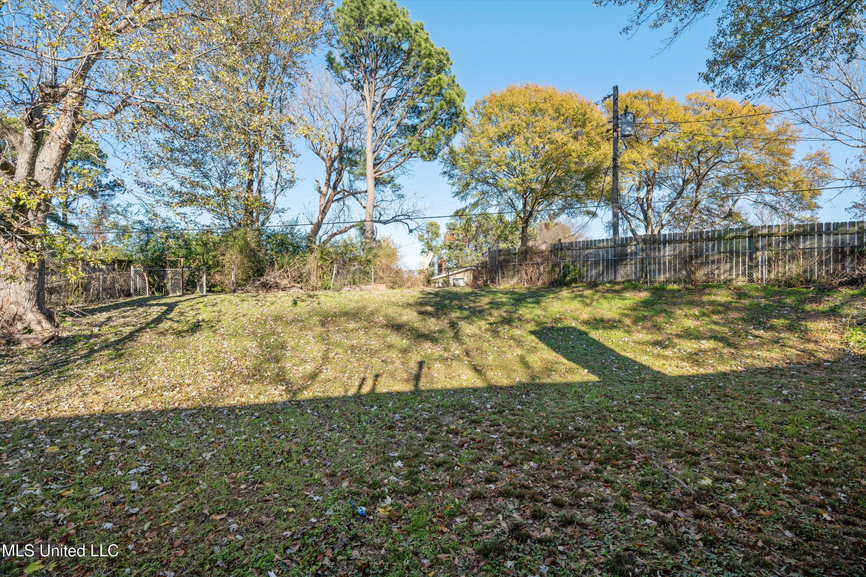 1366 Moss Point Drive, Southaven, Mississippi image 22