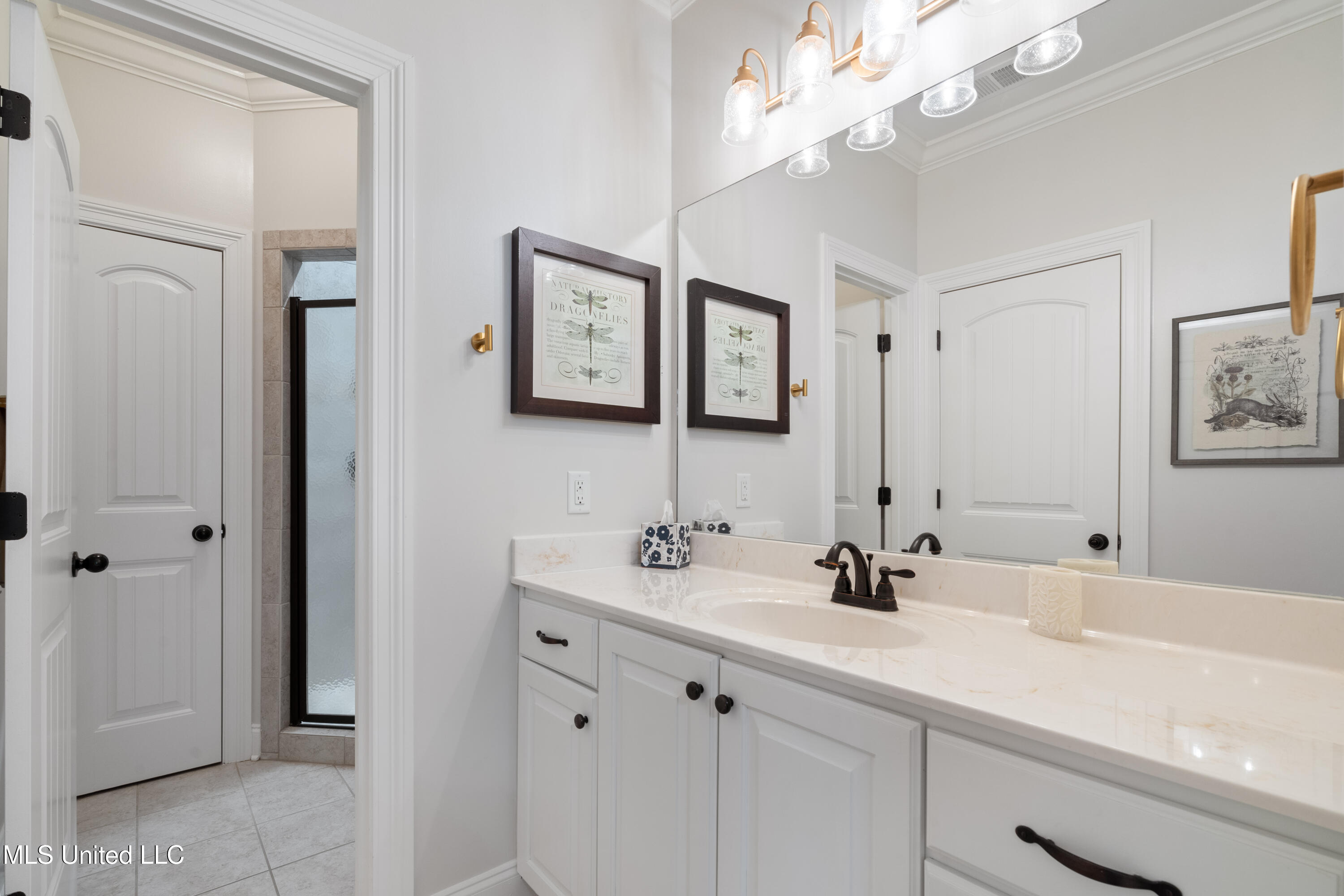 4833 E Delbridge Court, Olive Branch, Mississippi image 31