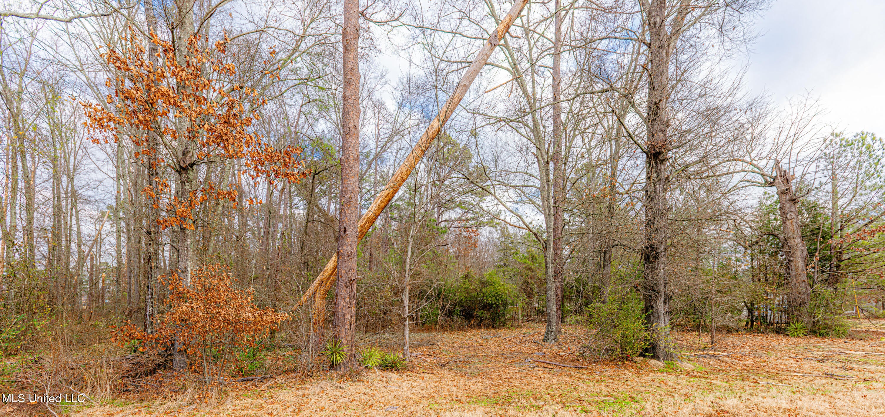 0 Flowood Dr Drive