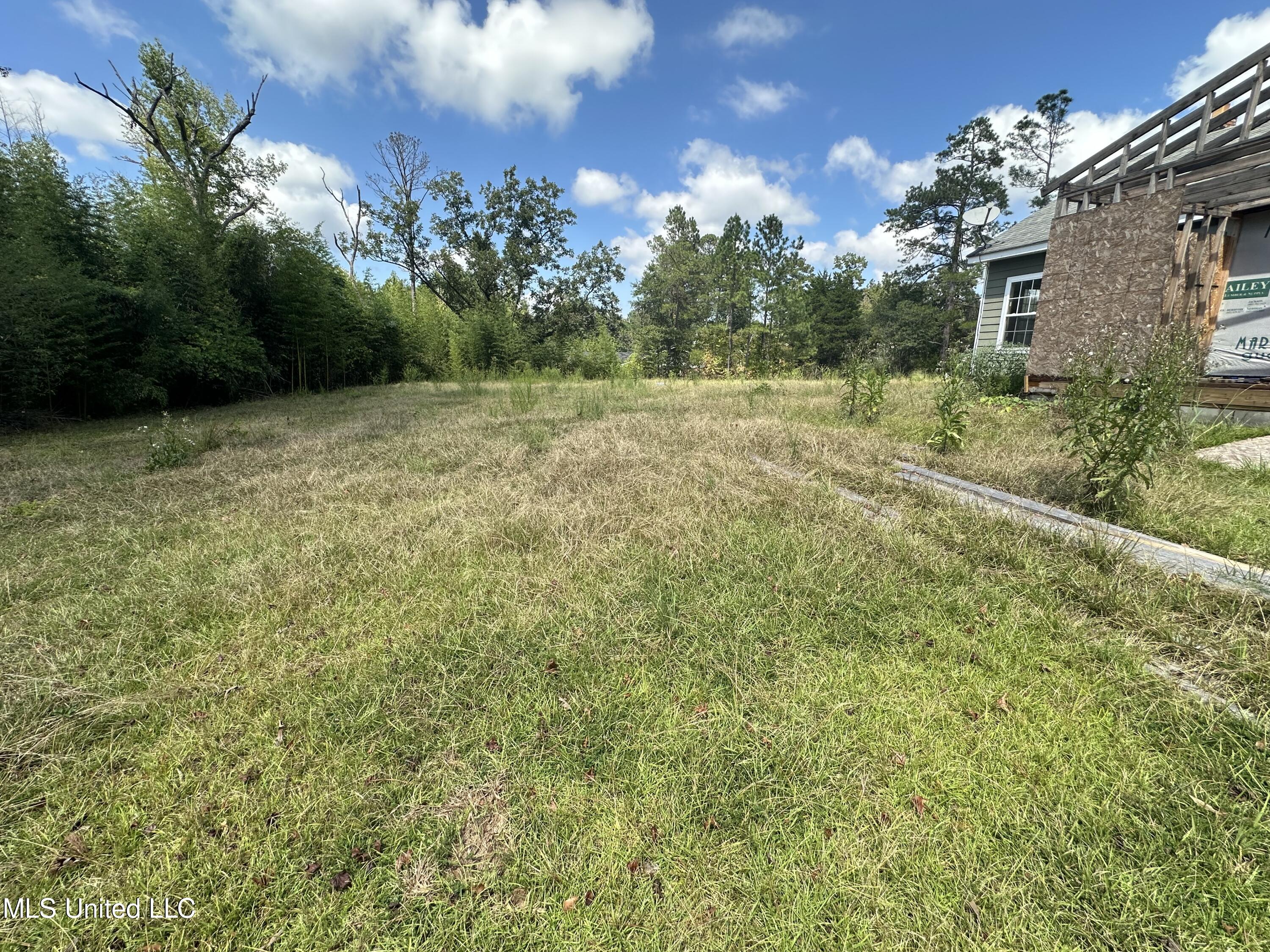 4393 County Rd 470, Meridian, Mississippi image 9