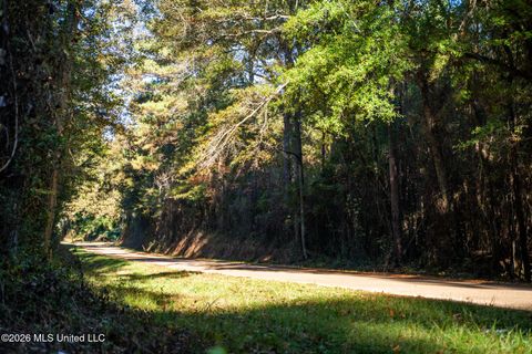 Vacant Land For Sale - Sandflat Road<br/> Lauderdale County, Meridian, MS 39301