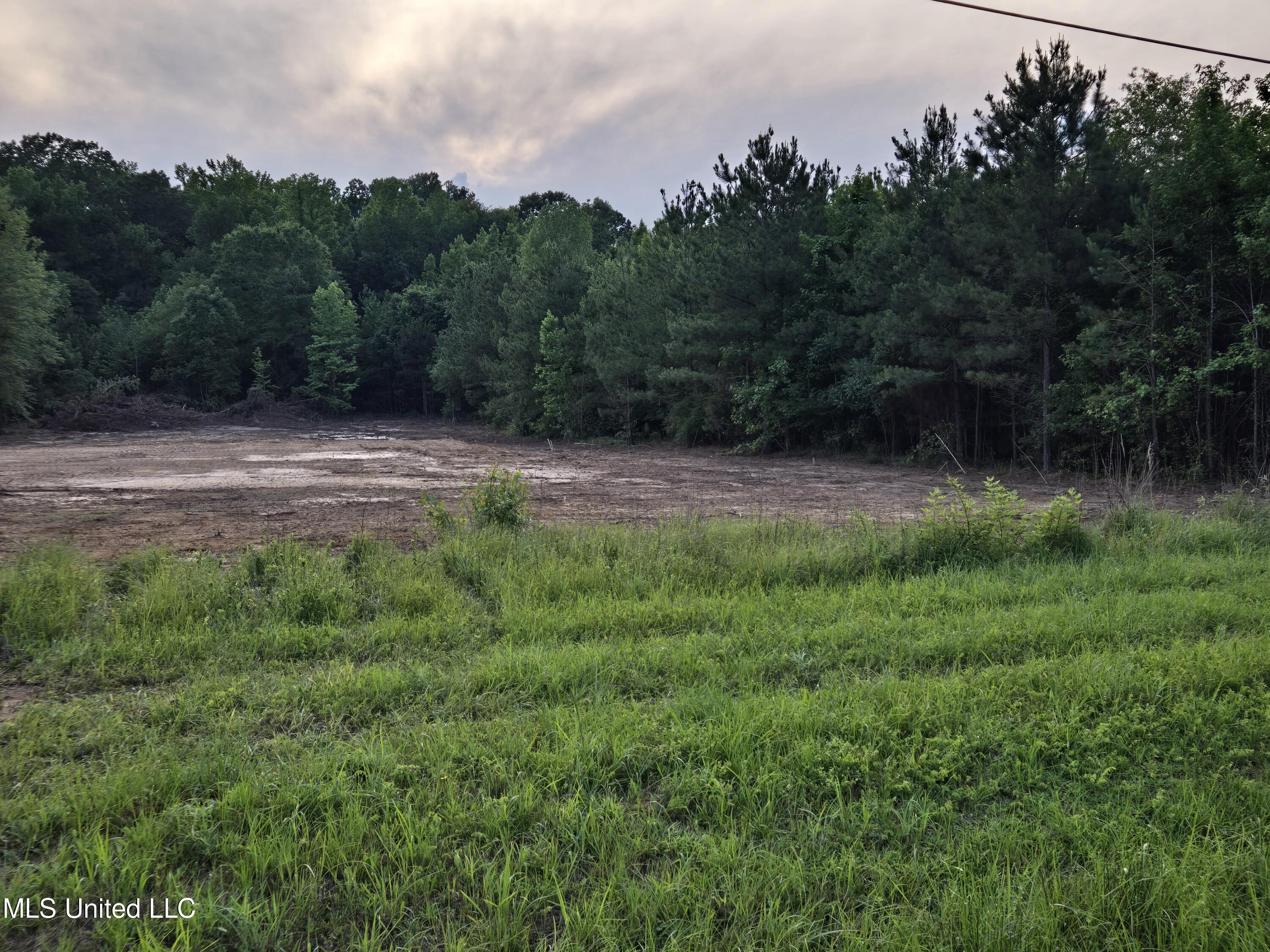 1018 Mt Pilgrim Road, Camden, Mississippi image 4