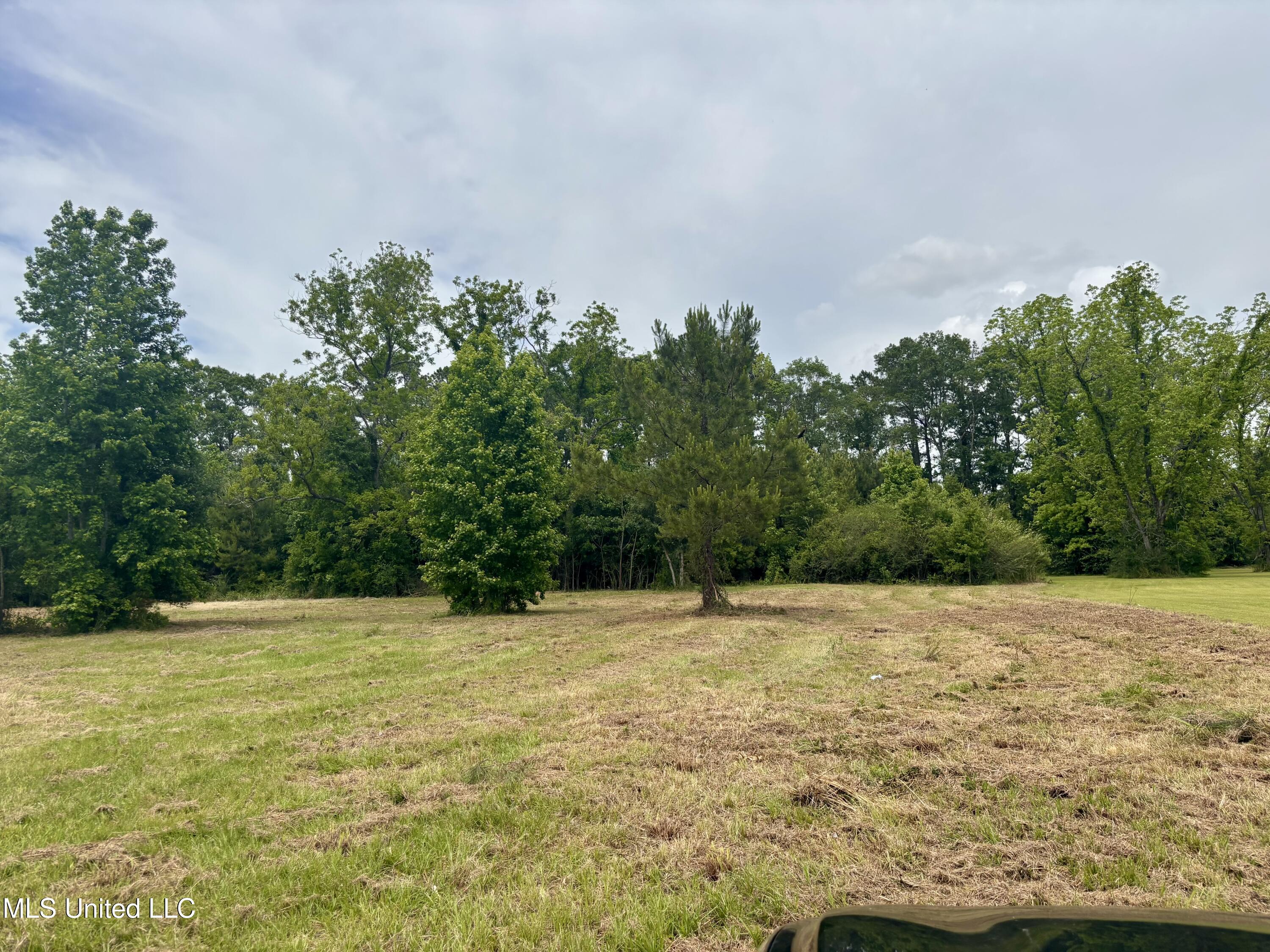 Jessie Lane, Picayune, Mississippi image 6