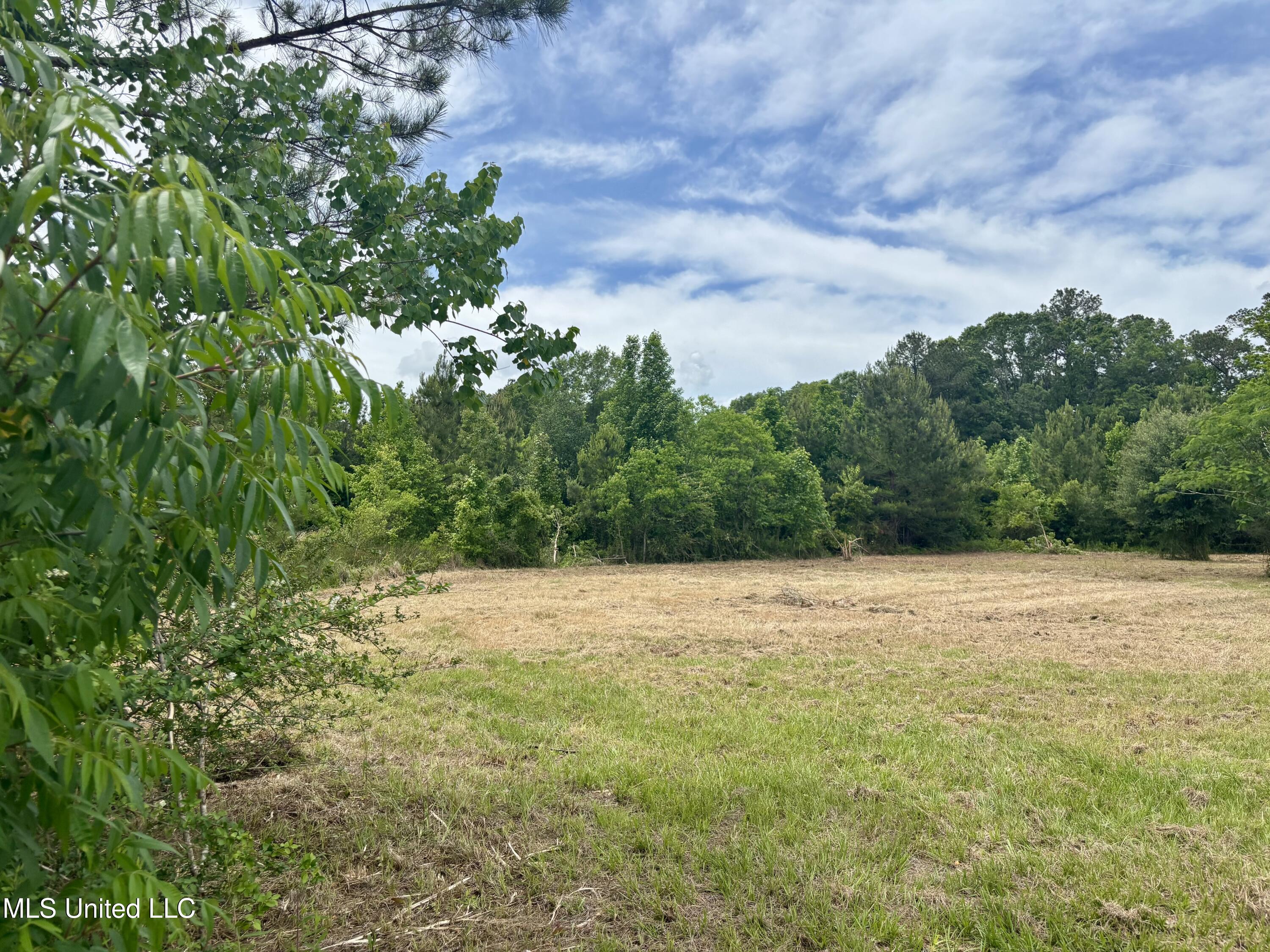 Jessie Lane, Picayune, Mississippi image 1