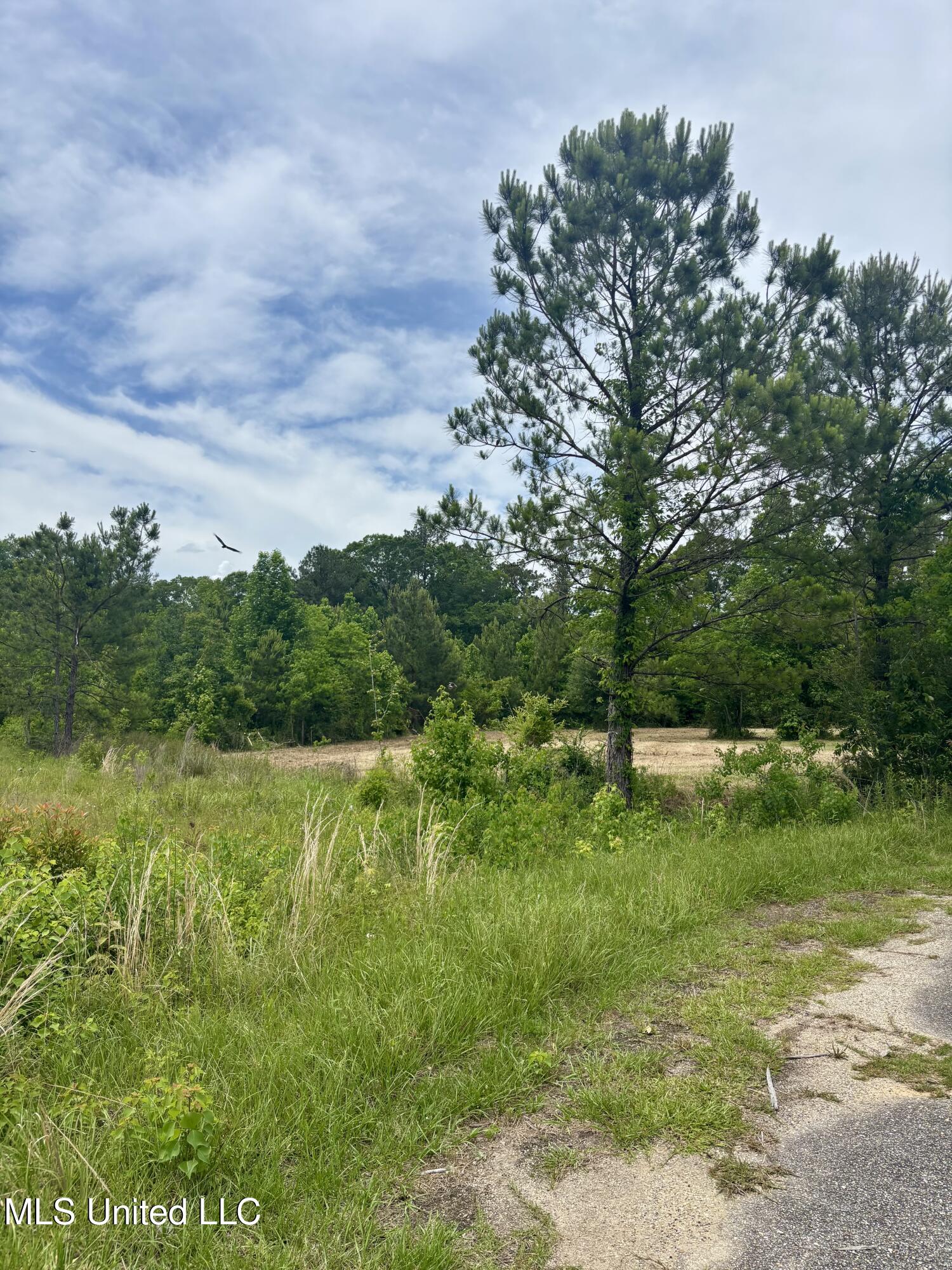 Jessie Lane, Picayune, Mississippi image 5