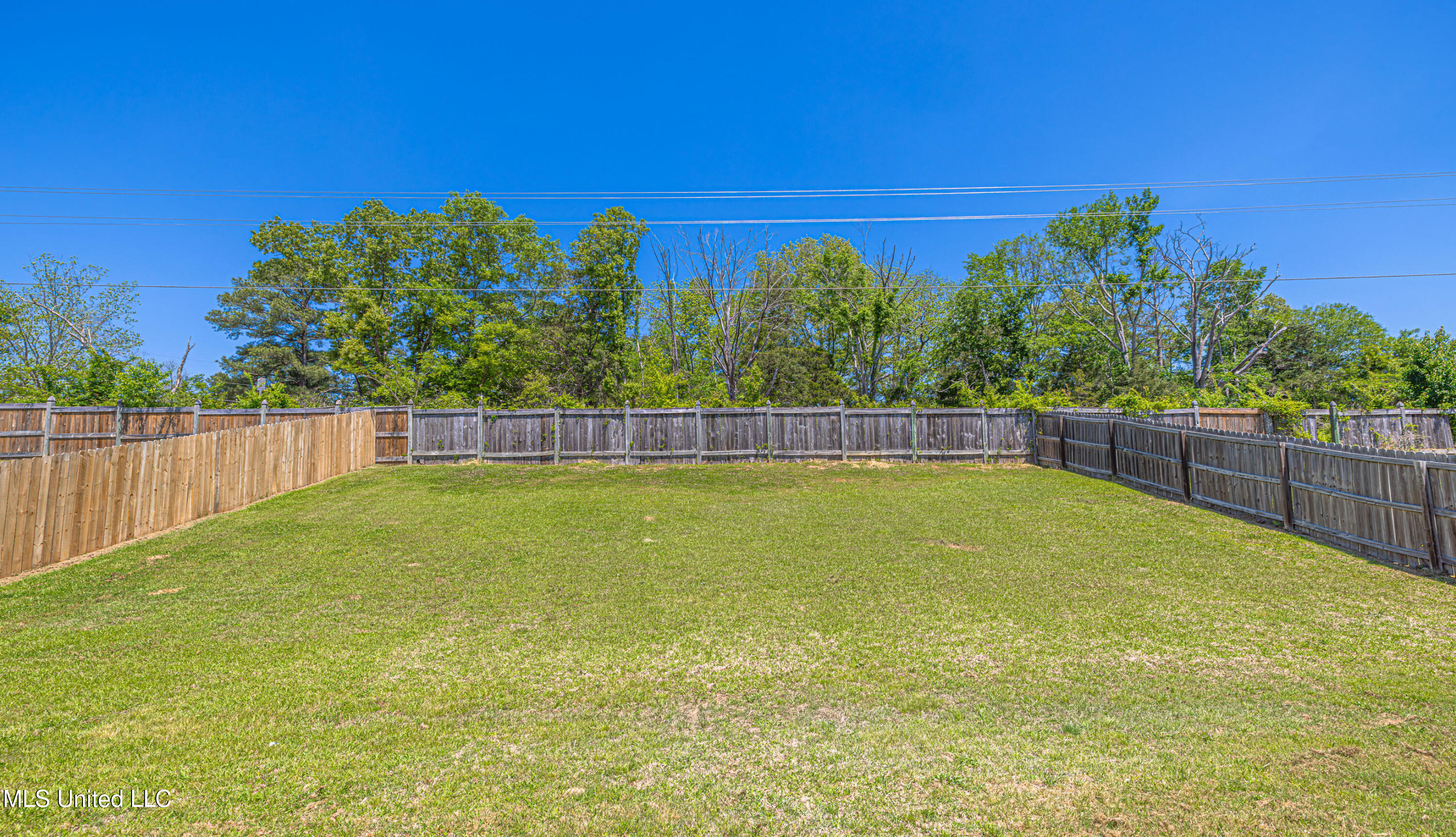 271 Cherry Bark Drive, Brandon, Mississippi image 44