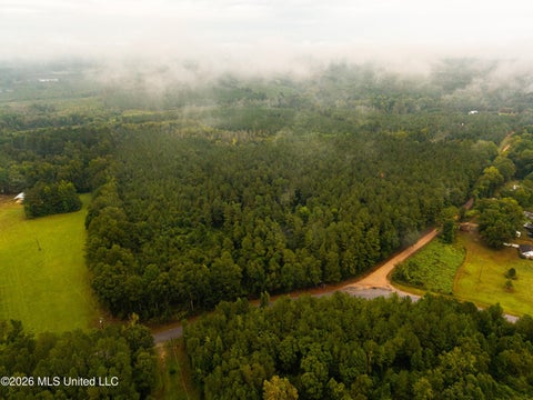 Vacant Land For Sale - Lawrence Hazel Road<br/> Lawrence, MS 39336