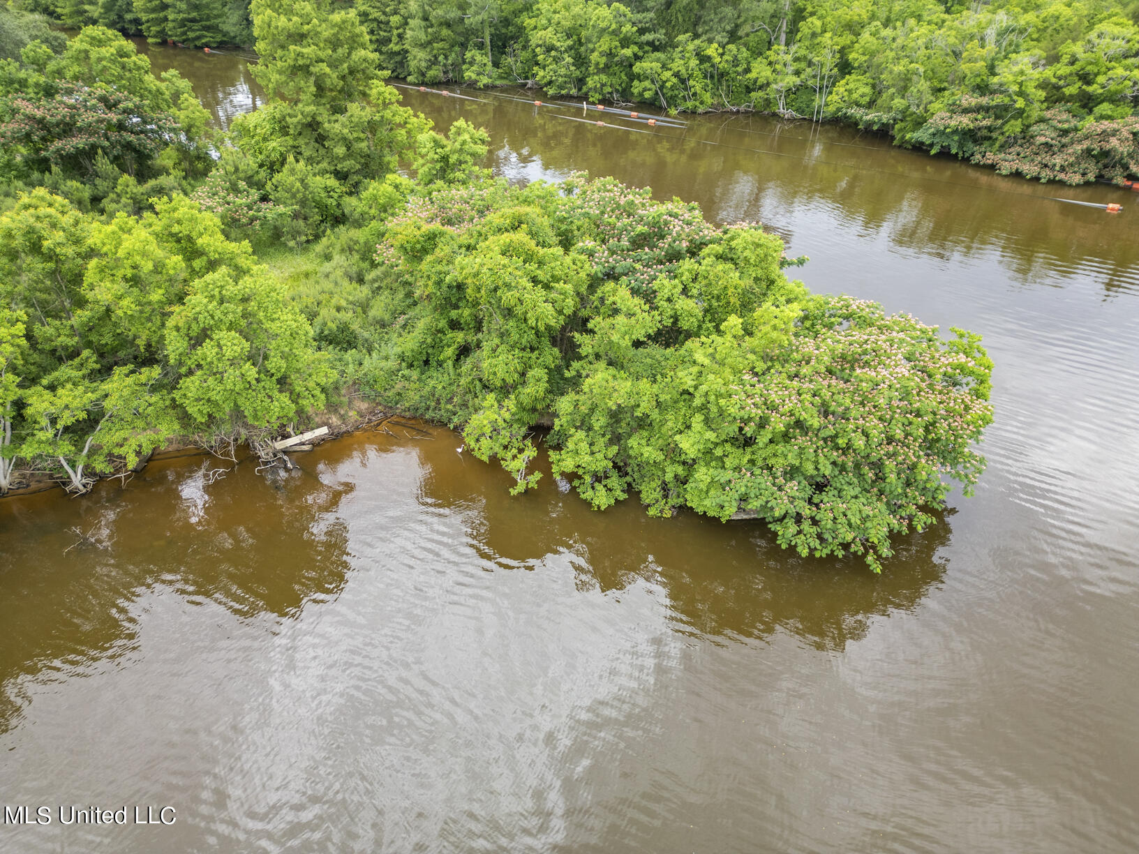 Arrowhead Trail, Brandon, Mississippi image 8