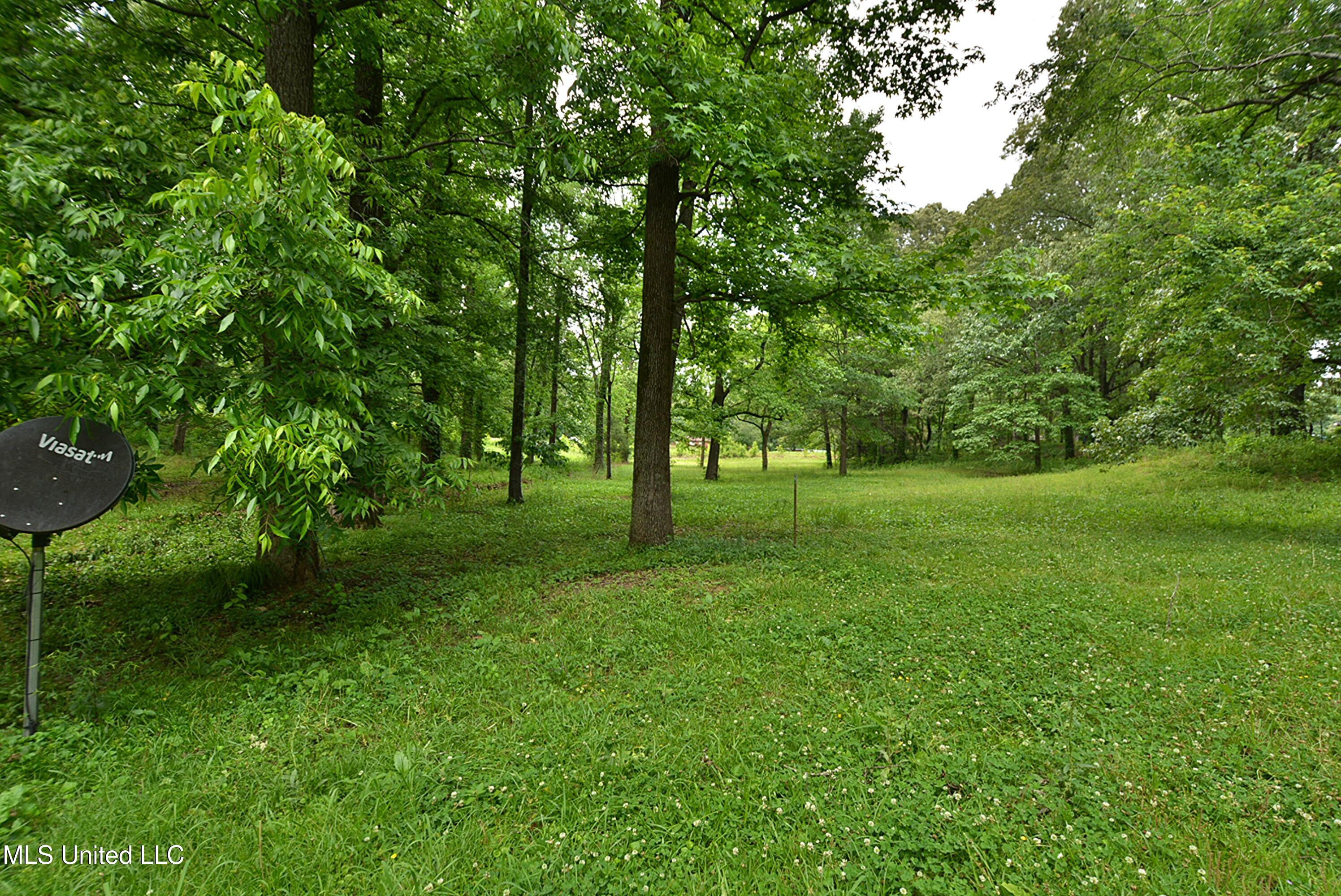 3490 Sherrod Road, Nesbit, Mississippi image 28