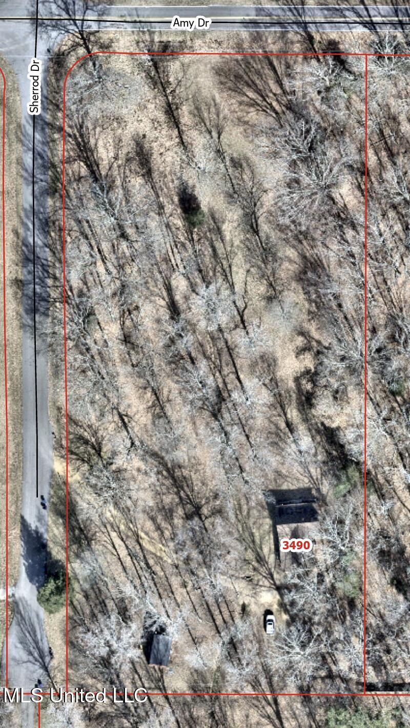 3490 Sherrod Road, Nesbit, Mississippi image 29