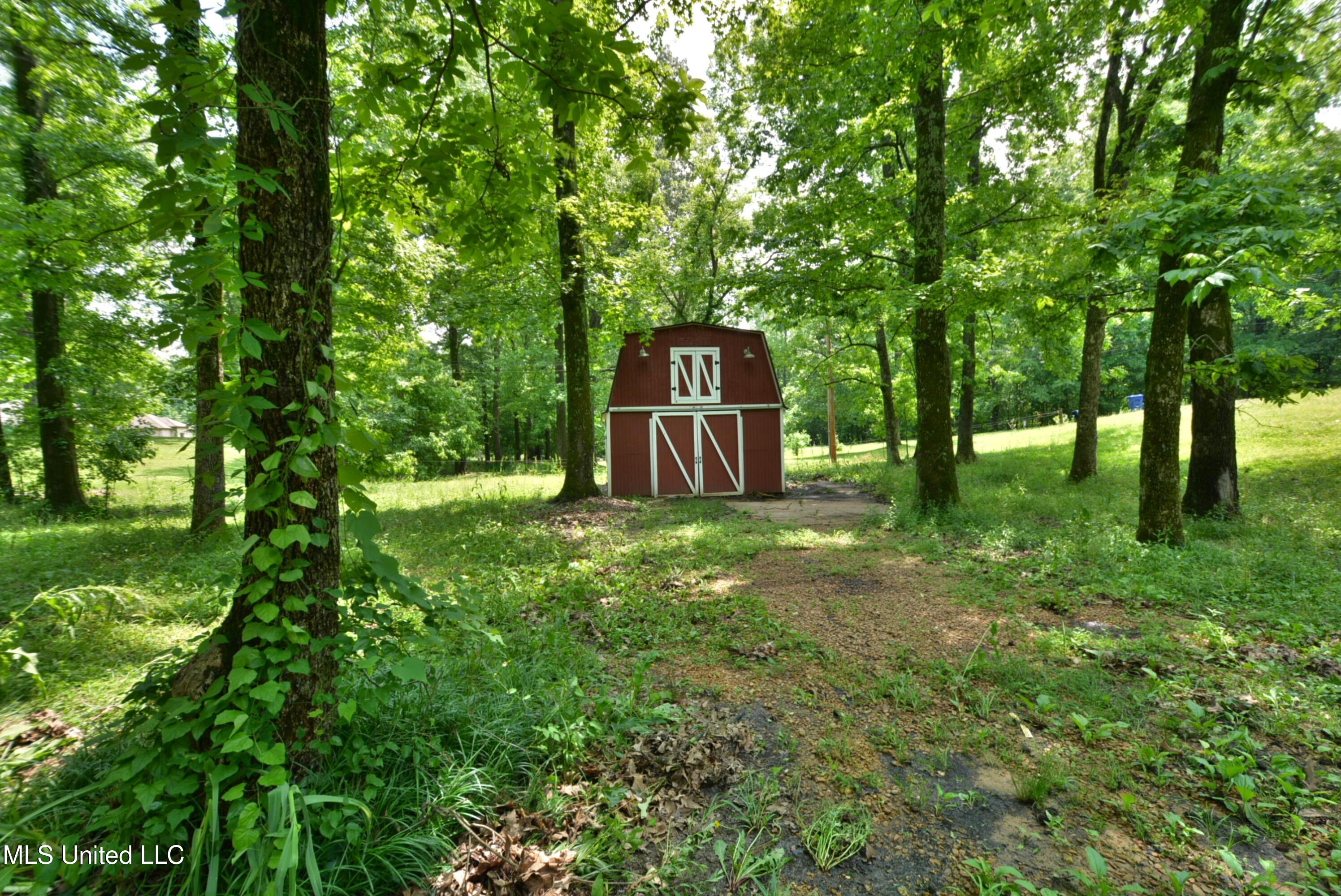3490 Sherrod Road, Nesbit, Mississippi image 26
