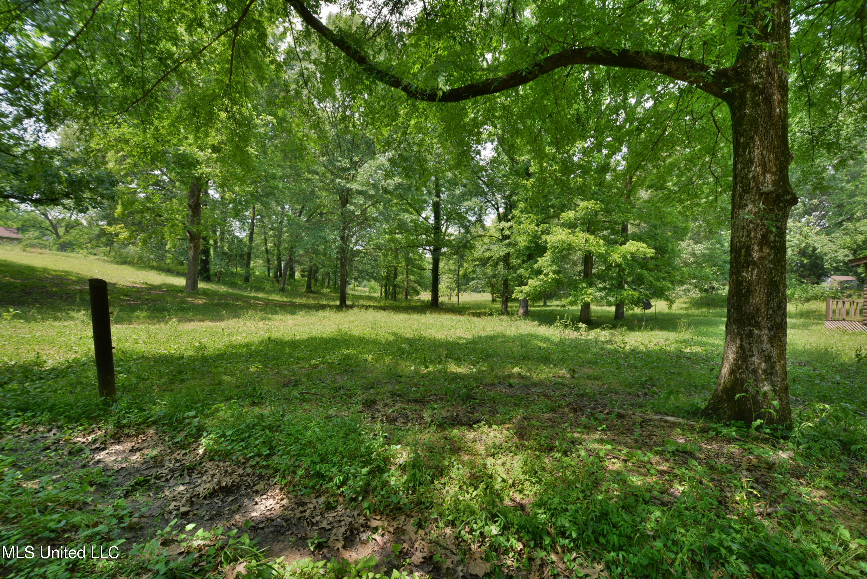 3490 Sherrod Road, Nesbit, Mississippi image 4