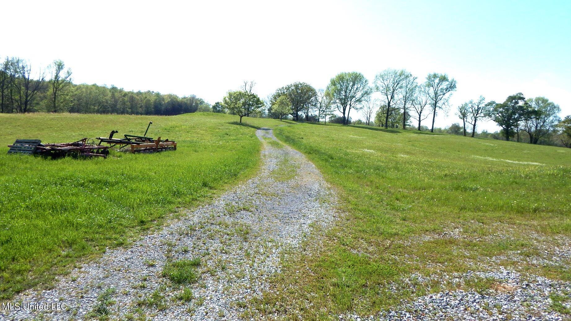 1080 Egypt Creek Road, Sarah, Mississippi image 15