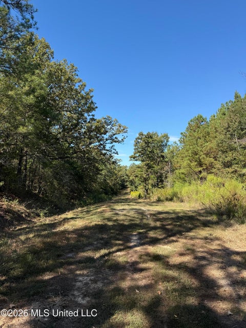 Vacant Land For Sale - Old 51 Road<br/> Pickens, MS 39146
