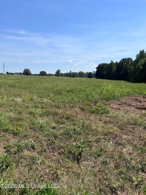 Vacant Land For Sale - 5 W Commerce<br/> Hernando, MS 38632